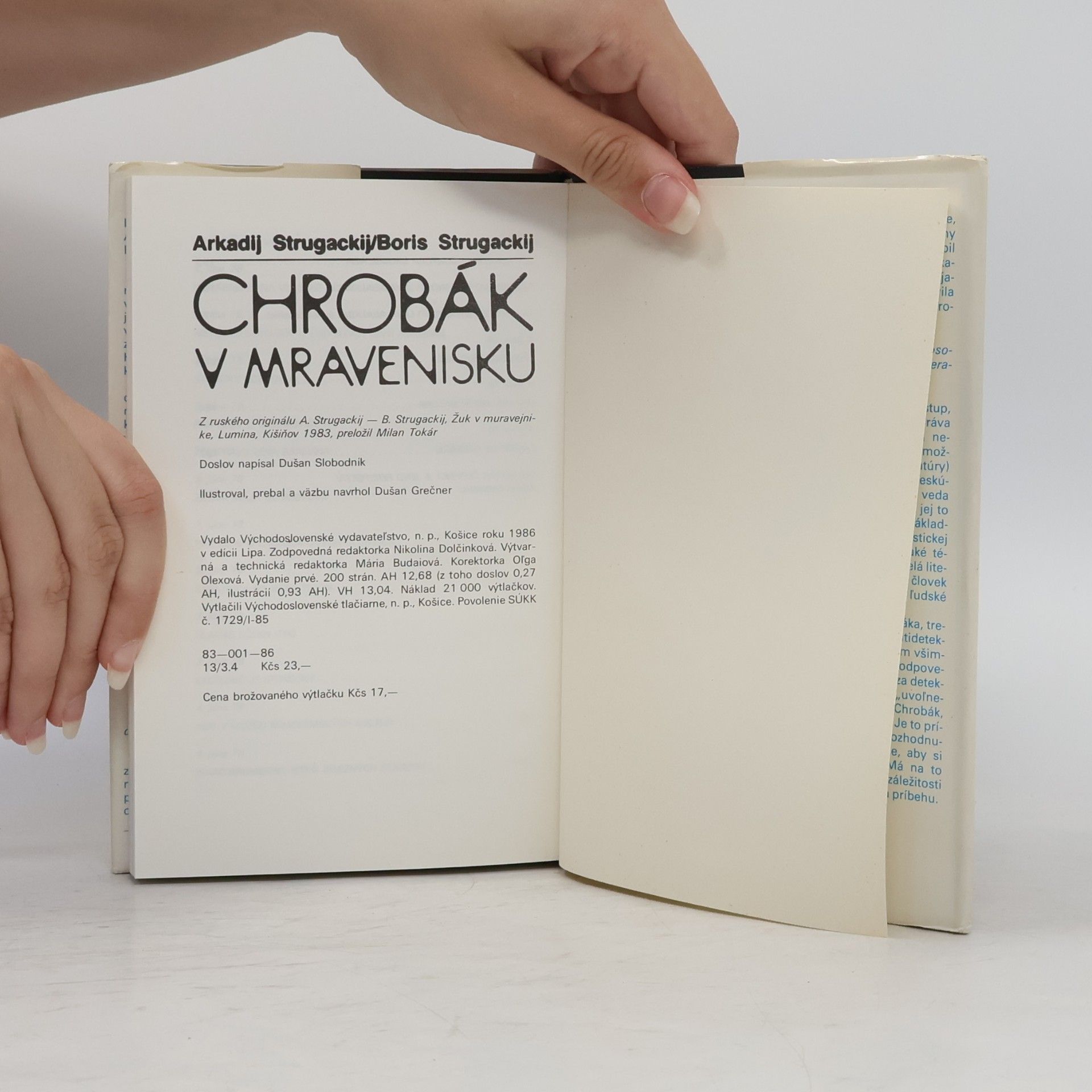 Arkadij Strugackij Chrobák v mravenisku