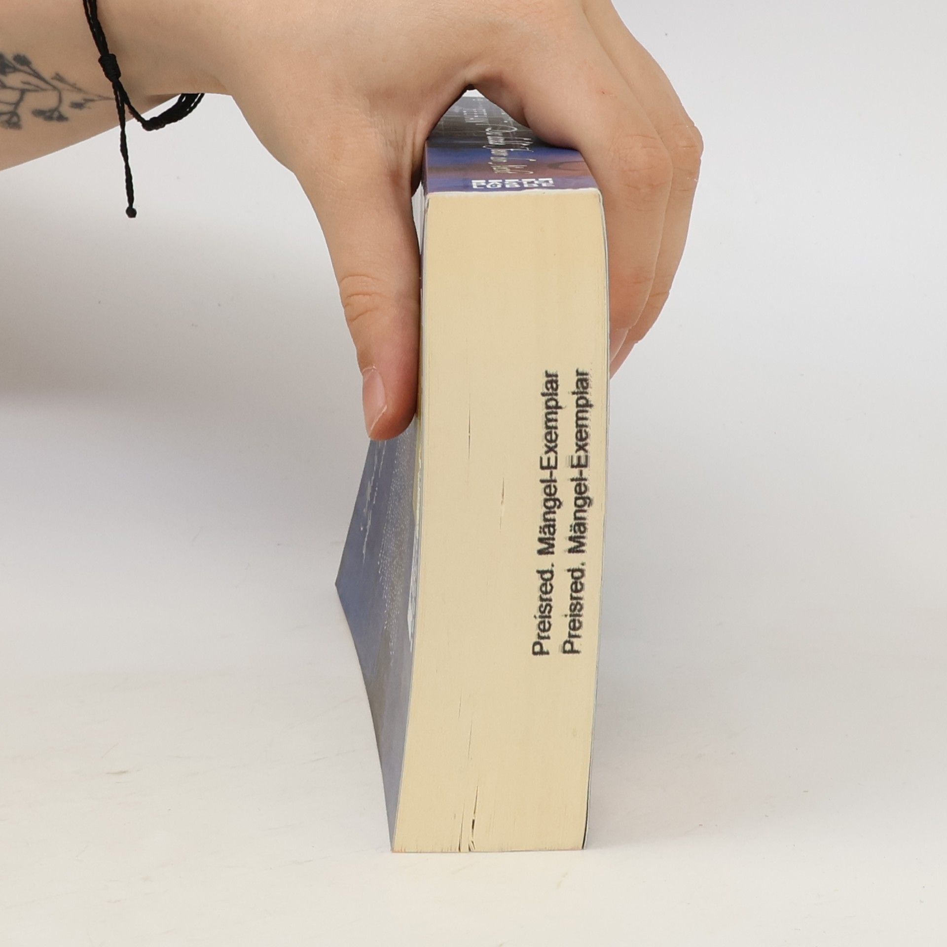 Christine Feehan Das dunkle Feuer der Nacht