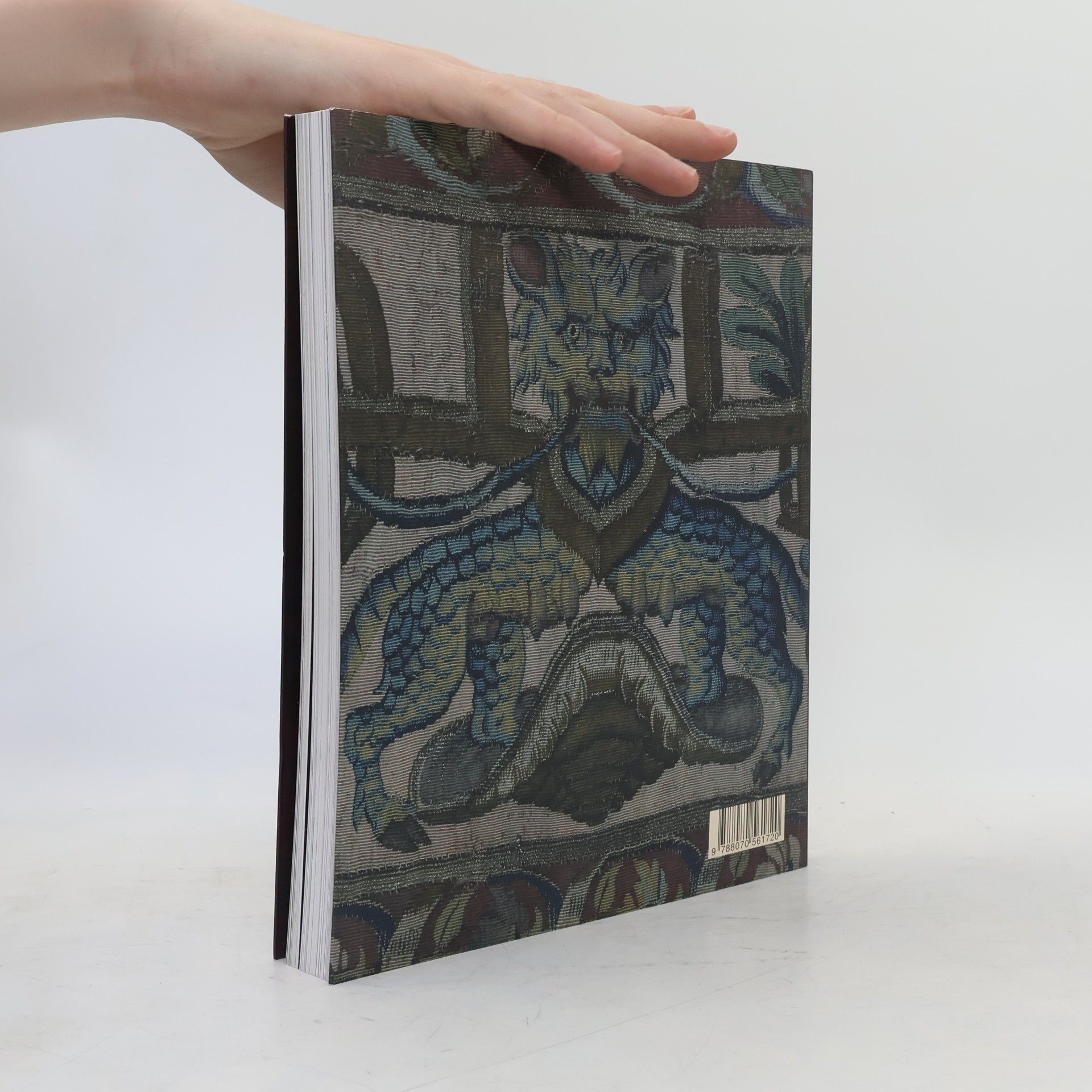 Jiří Fajt Europa Jagellonica 1386-1572 : umění a kultura ve střední Evropě za vlády Jagellonců