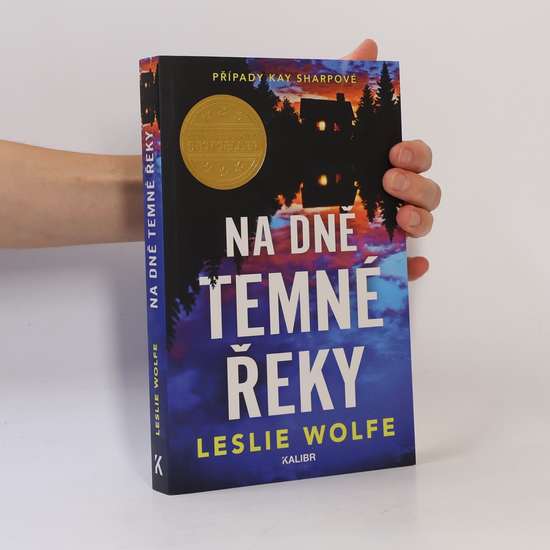 Leslie Wolfe Na dně Temné řeky