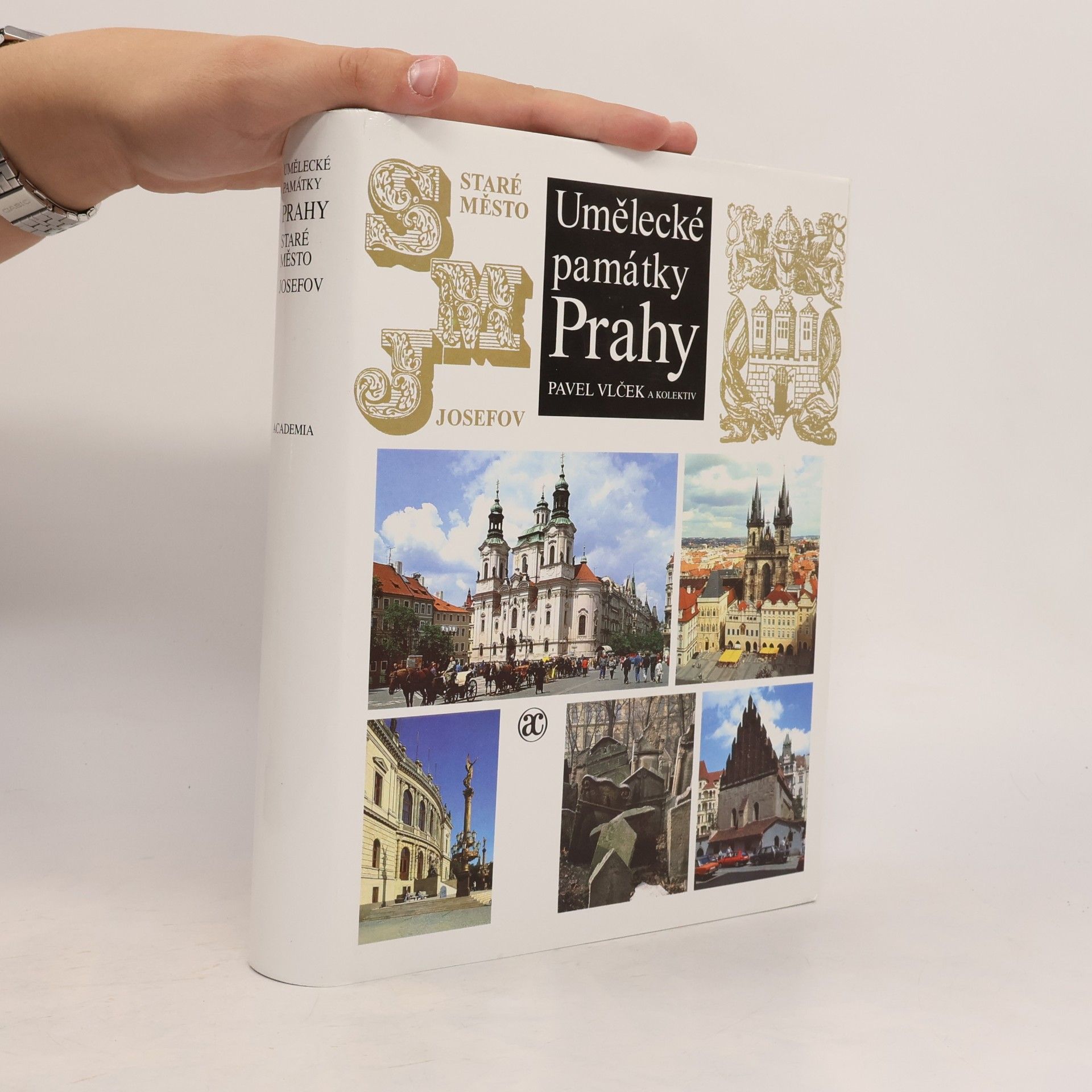 Pavel Vlček Umělecké památky Prahy. Staré město - Josefov.