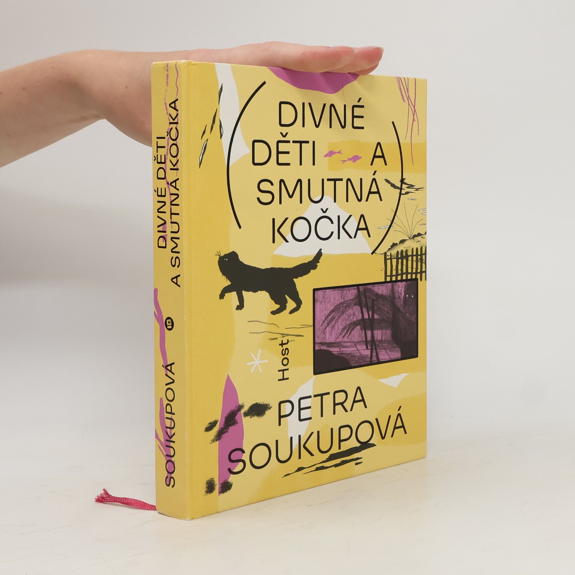 Petra Soukupová Divné děti a smutná kočka