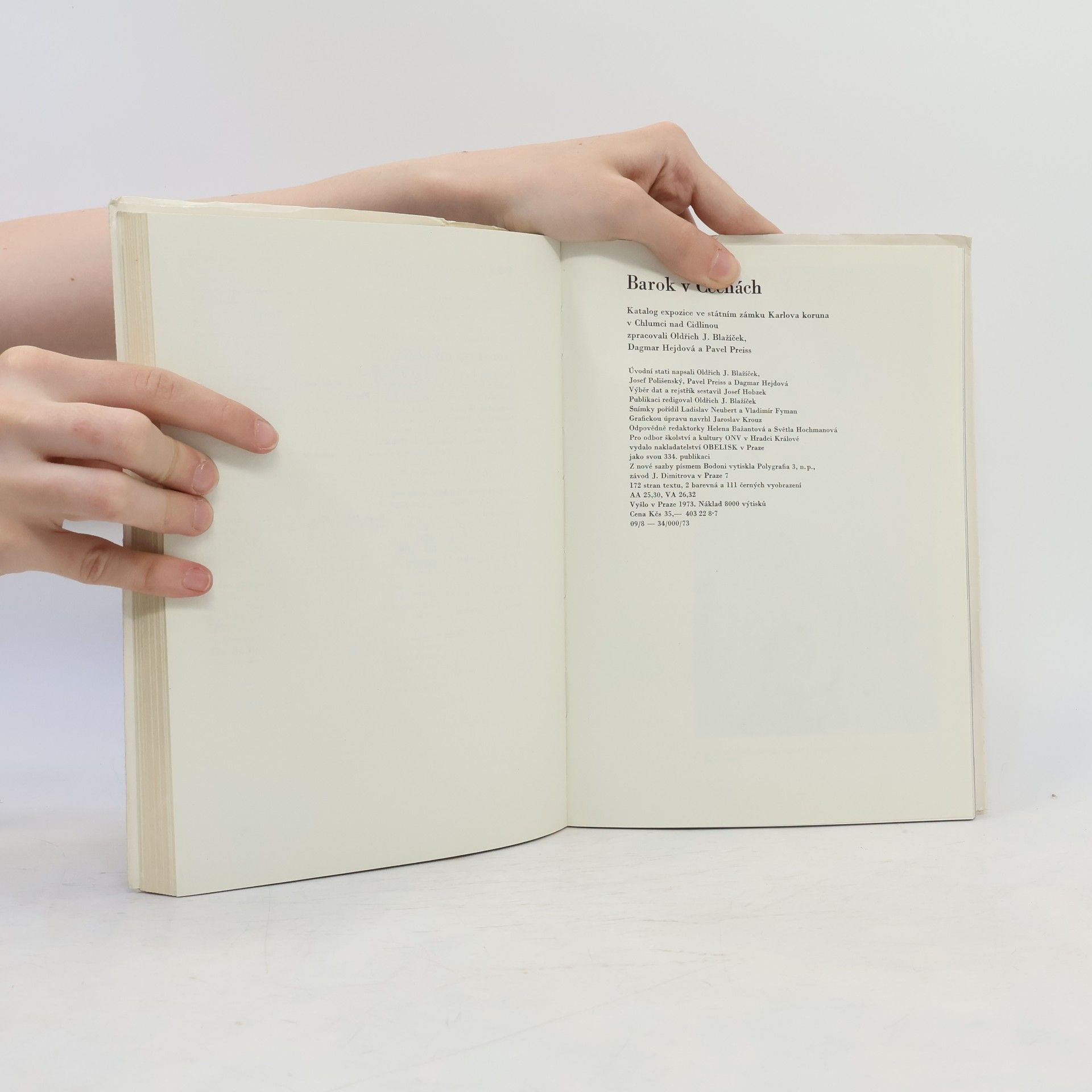 Collectif d'auteurs Barok v Čechách