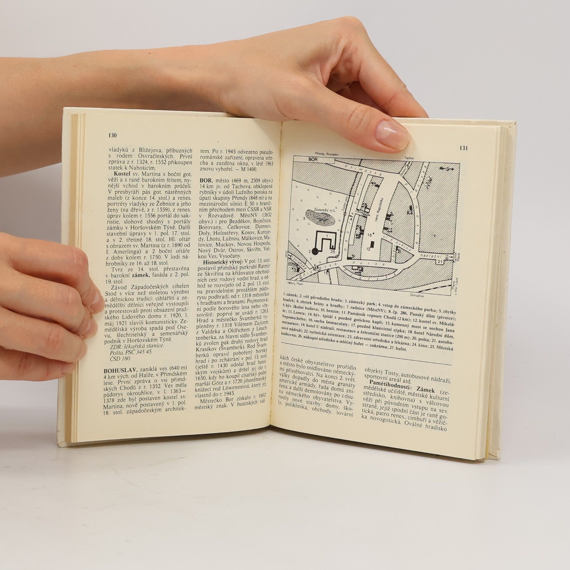 Autores varios Chodsko. Český les