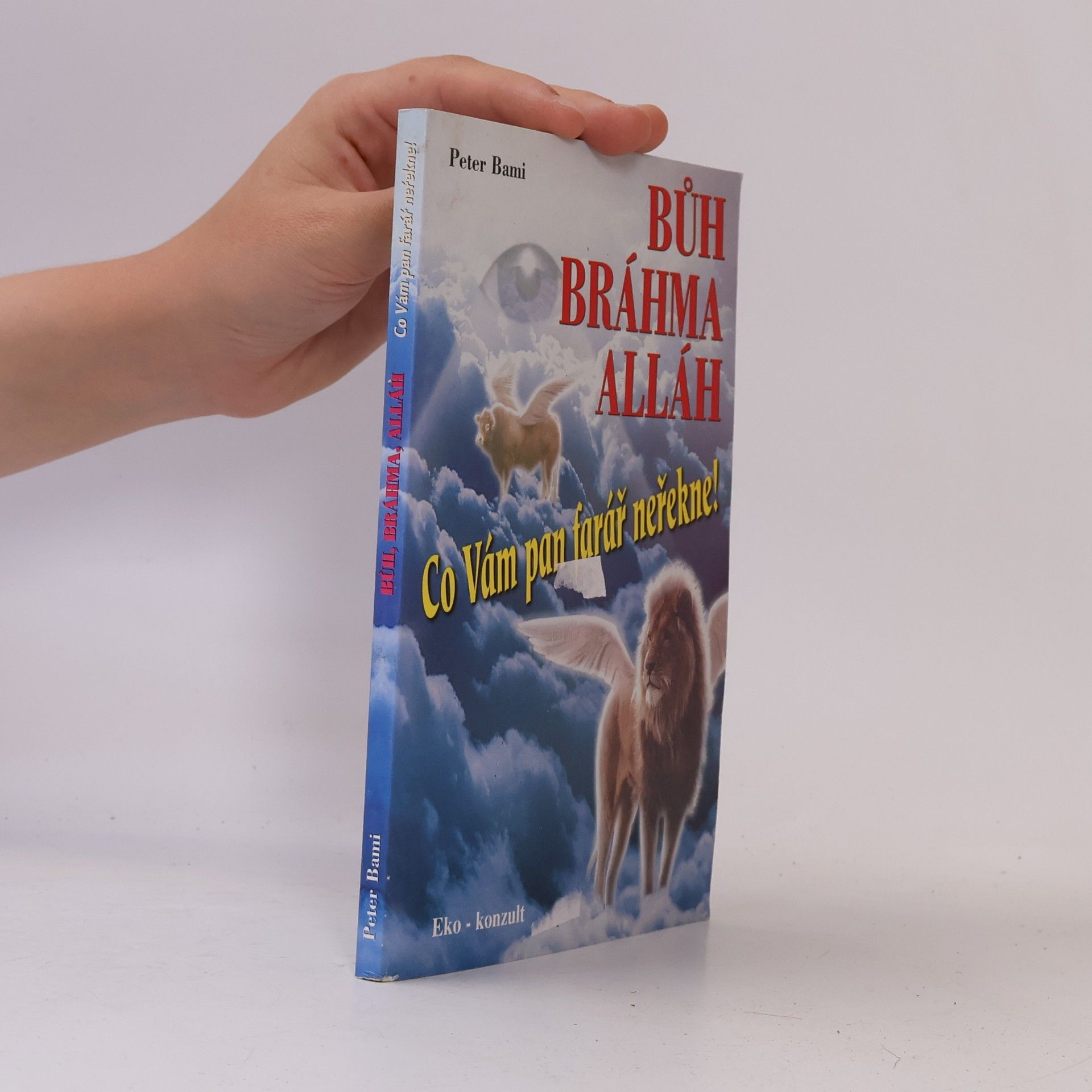 Peter Bami Bůh Bráhma Alláh aneb Co Vám pan farář neřekne