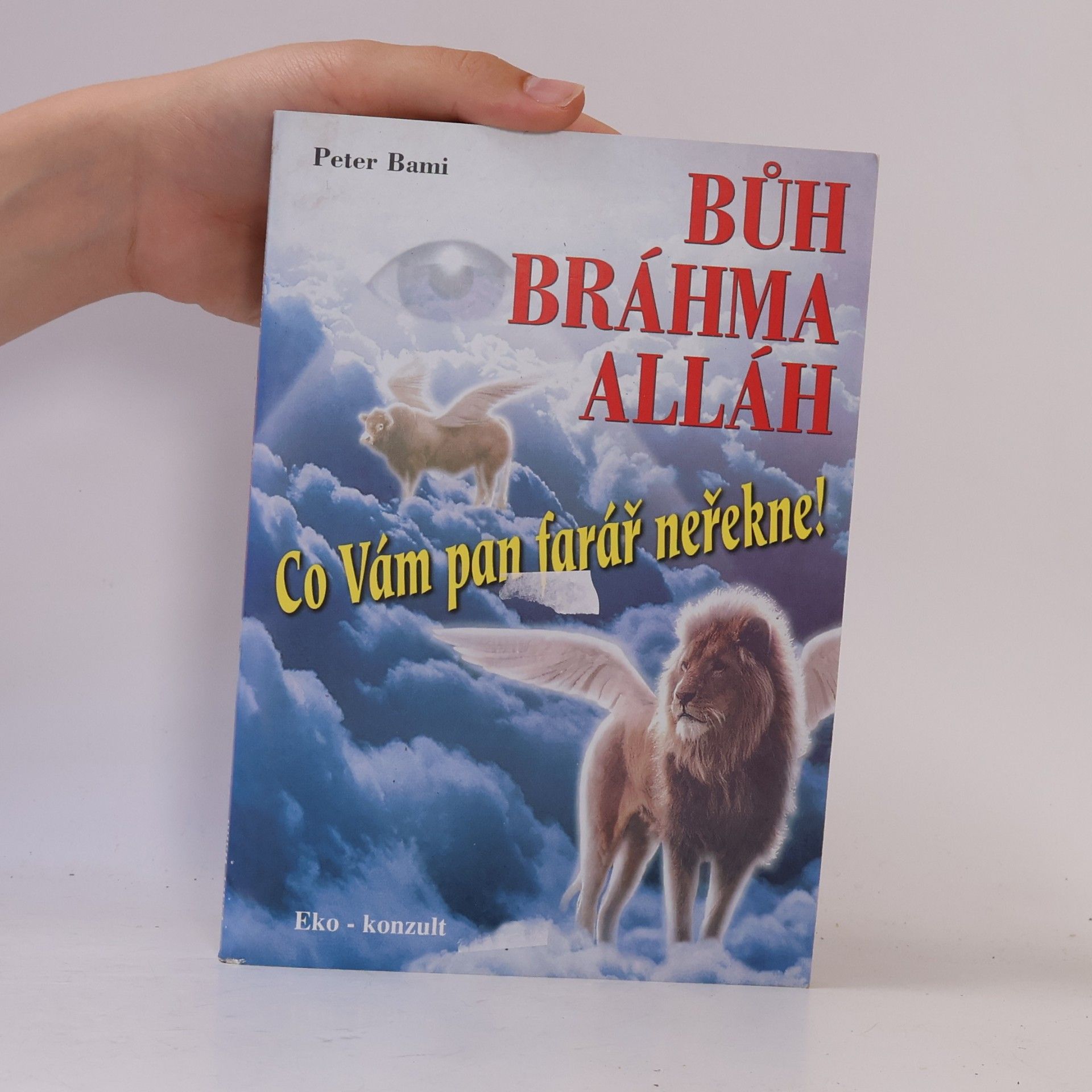 Peter Bami Bůh Bráhma Alláh aneb Co Vám pan farář neřekne