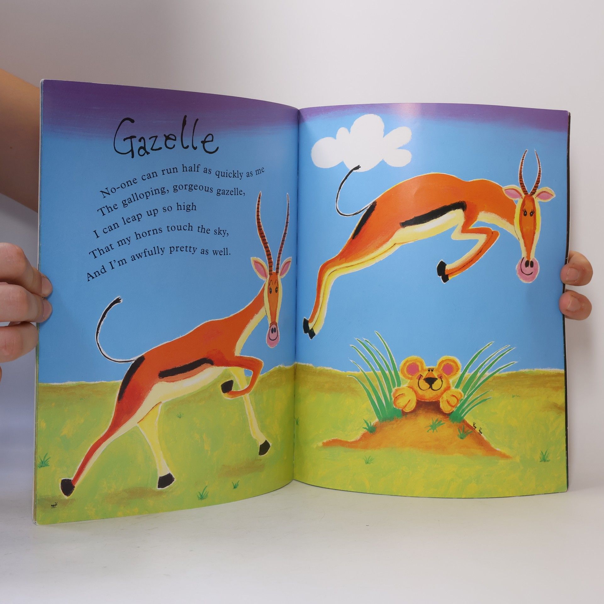Giles Andreae Rumble in the Jungle