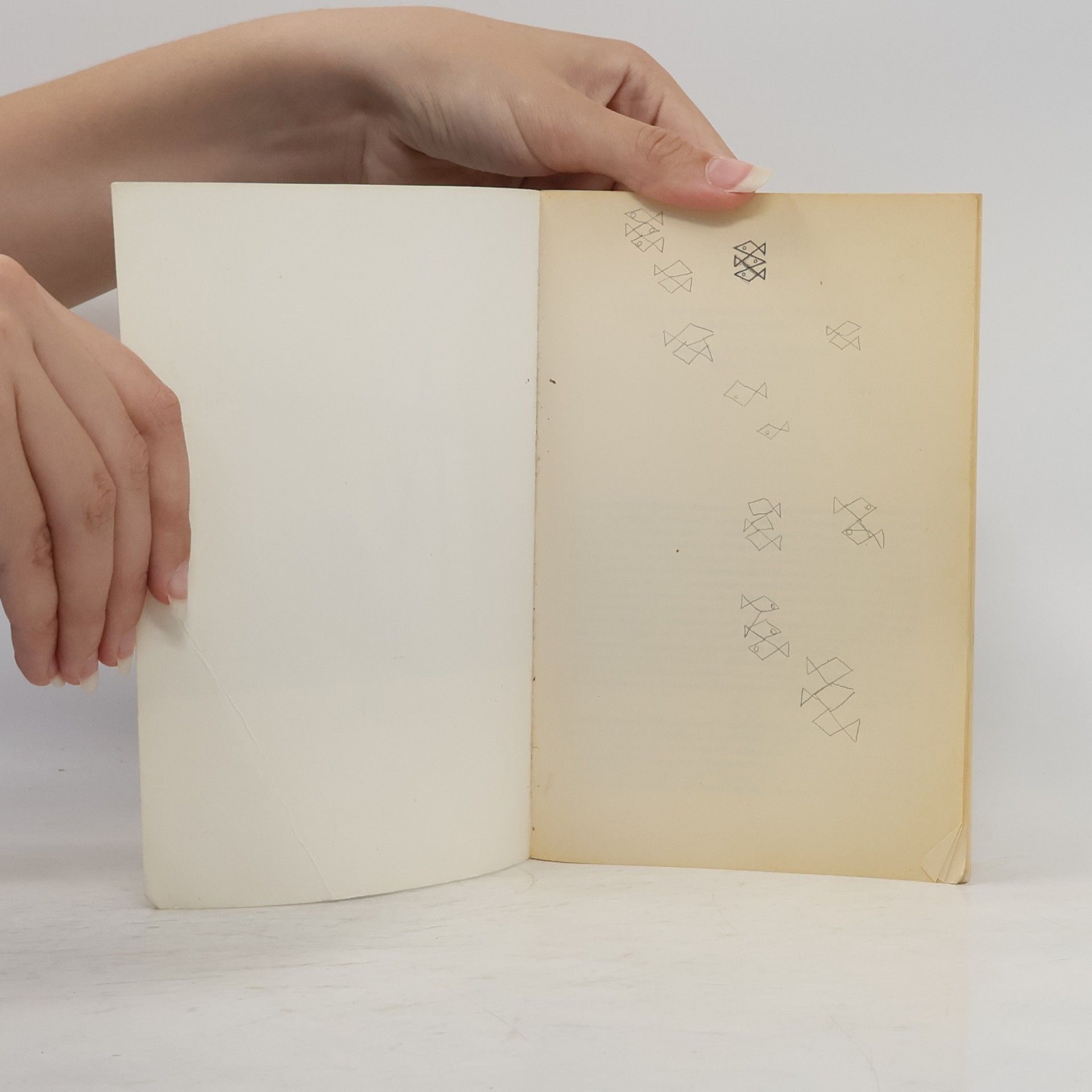 Anne Frank Anne-Frank-Tagebuch