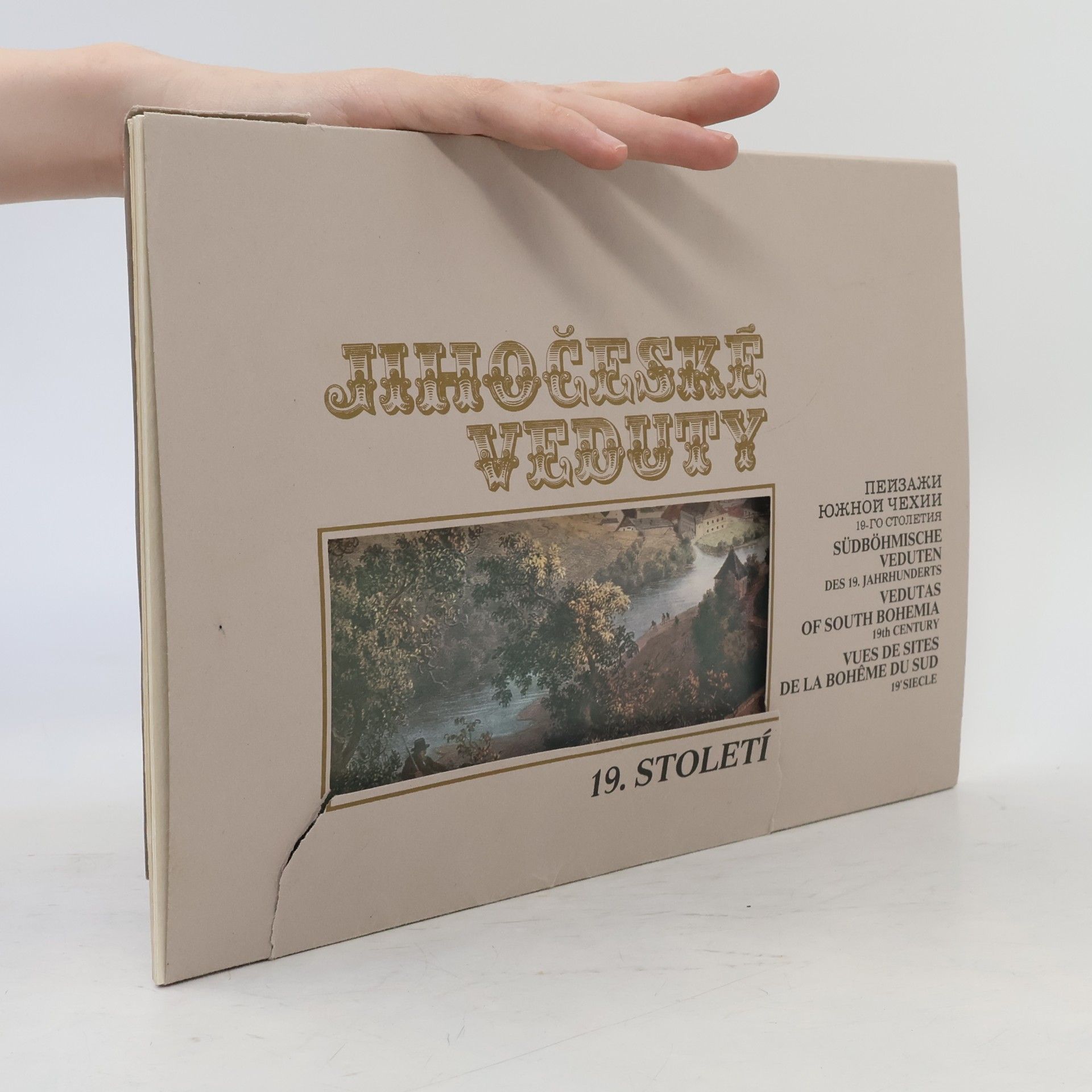 Jihočeské veduty 19. století