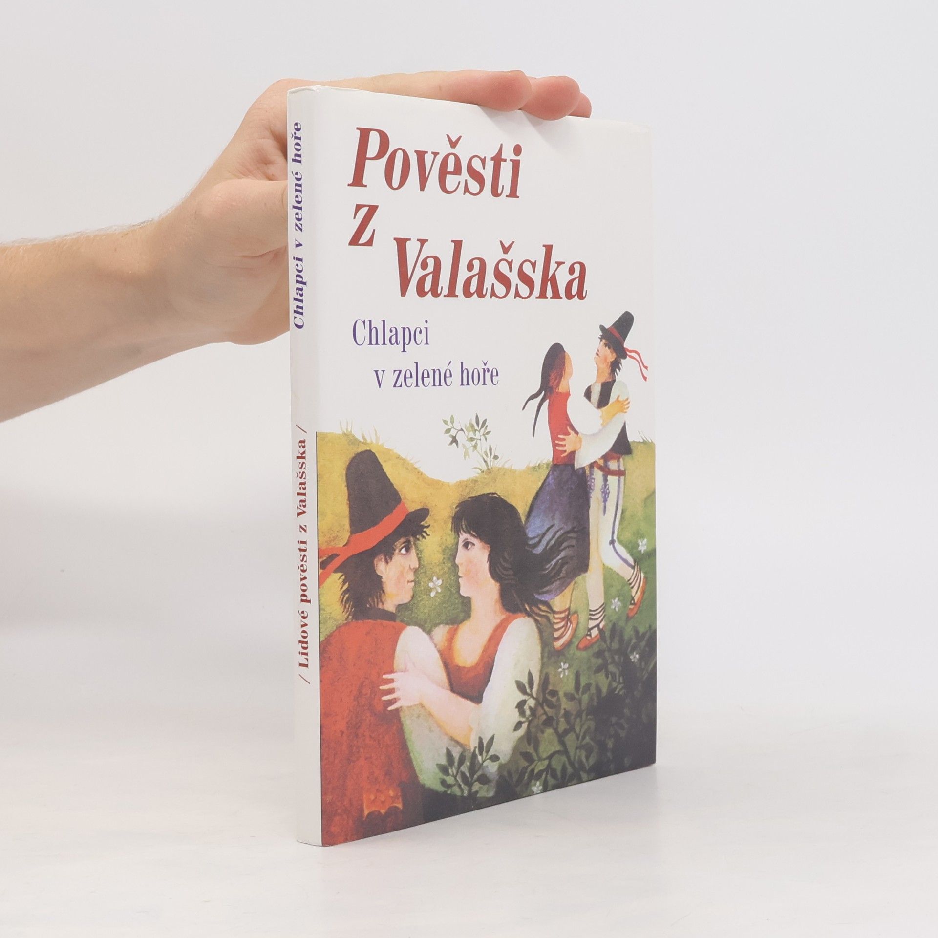 Chlapci v zelené hoře. Pověsti z Valašska