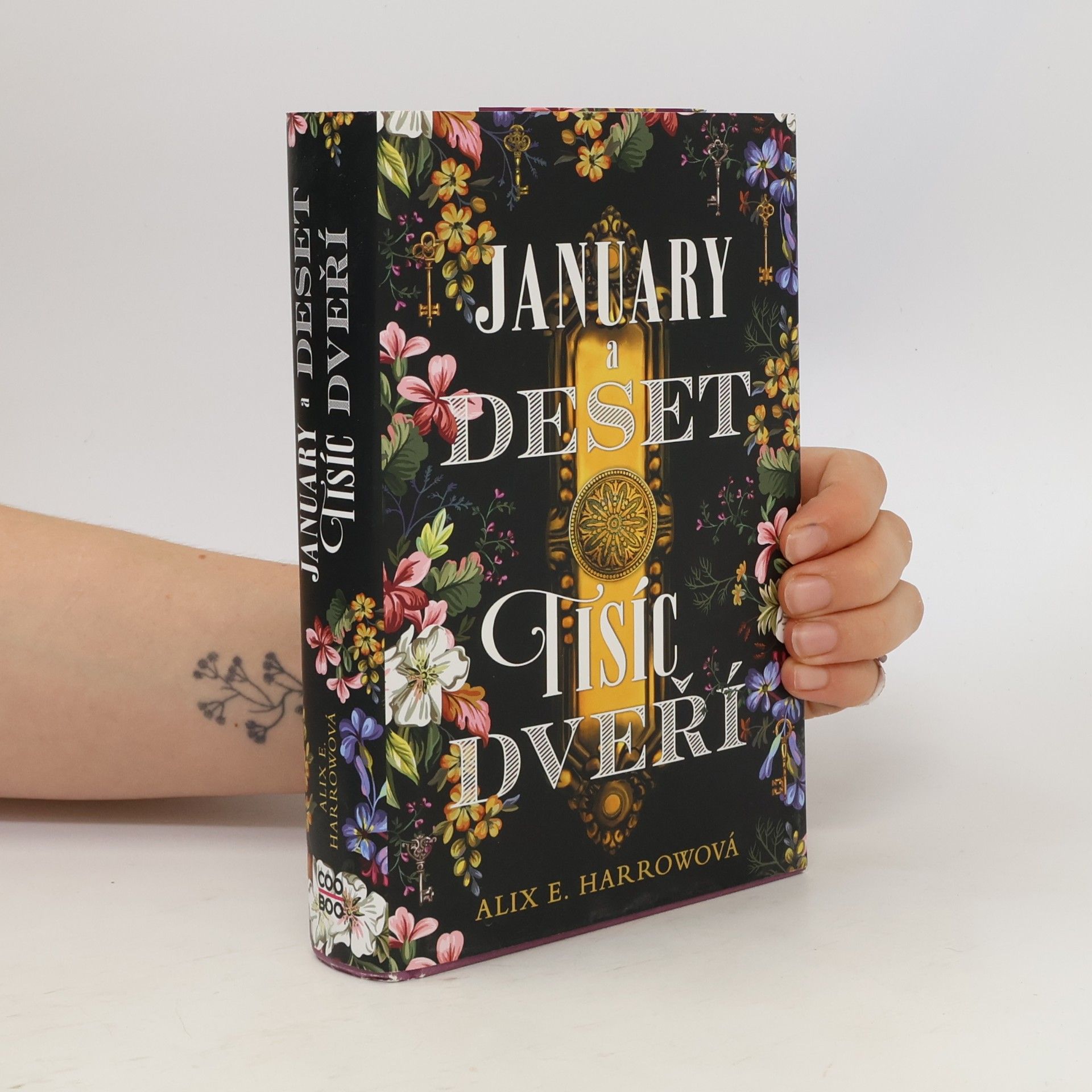 Alix E. Harrow January a Deset tisíc dveří