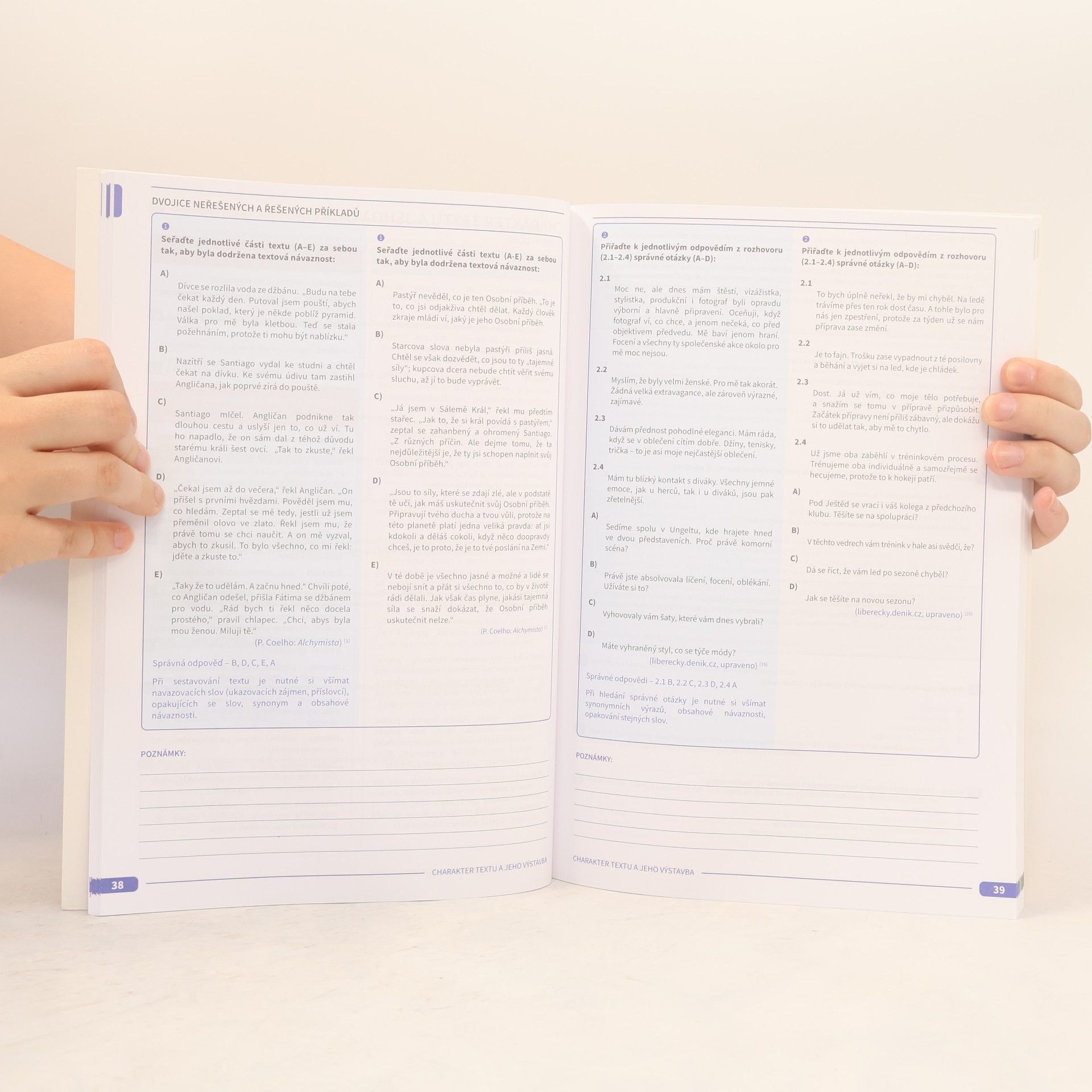 Autorenkollektiv Maturita v pohodě. Český jazyk a literatura