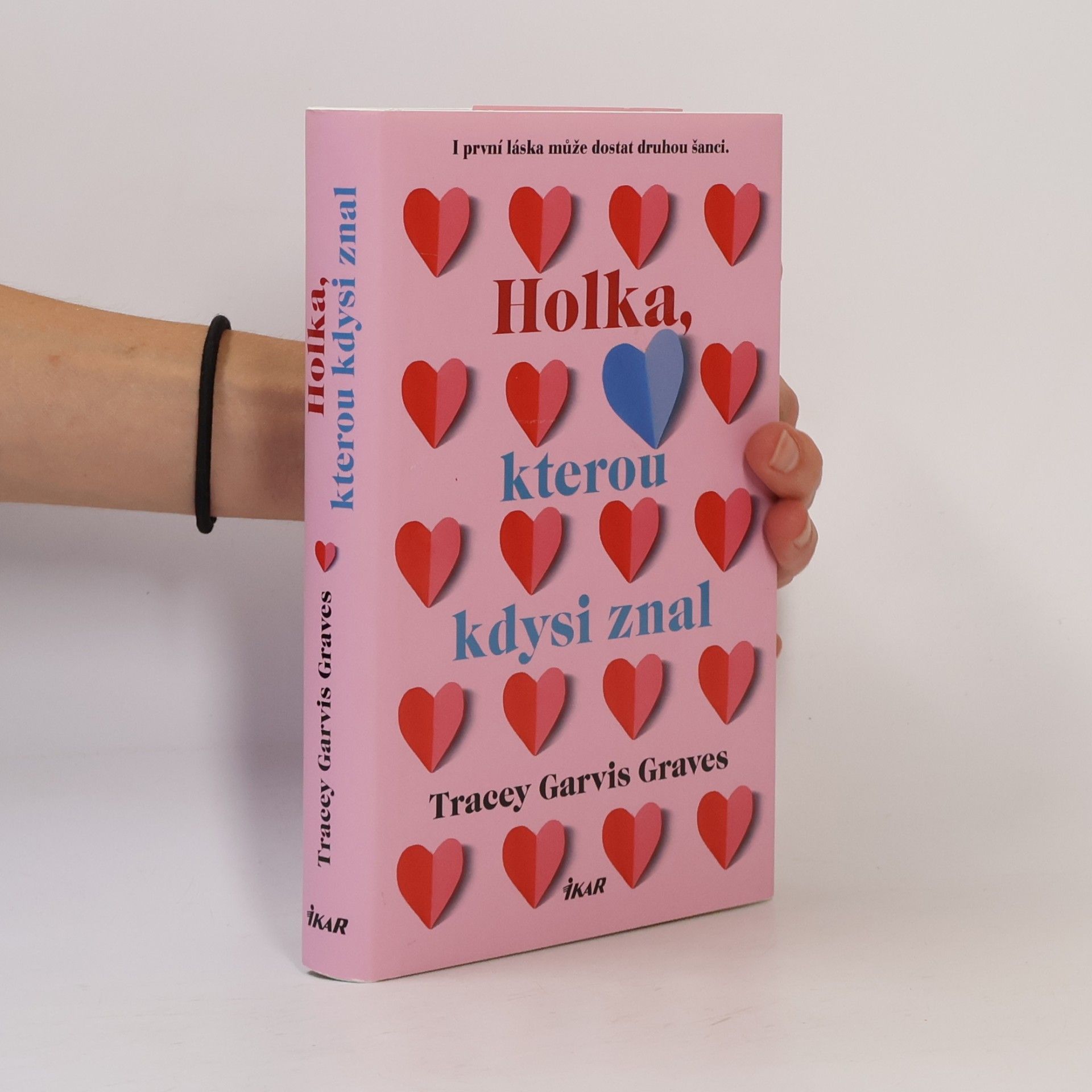 Tracey Garvis Graves Holka, kterou kdysi znal