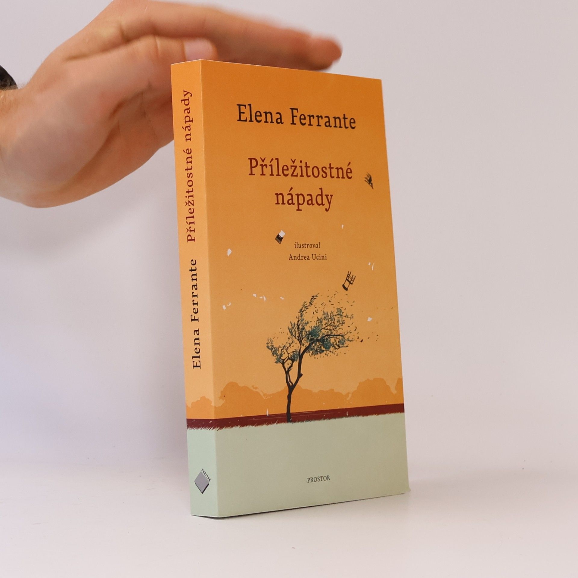 Elena Ferrante Příležitostné nápady