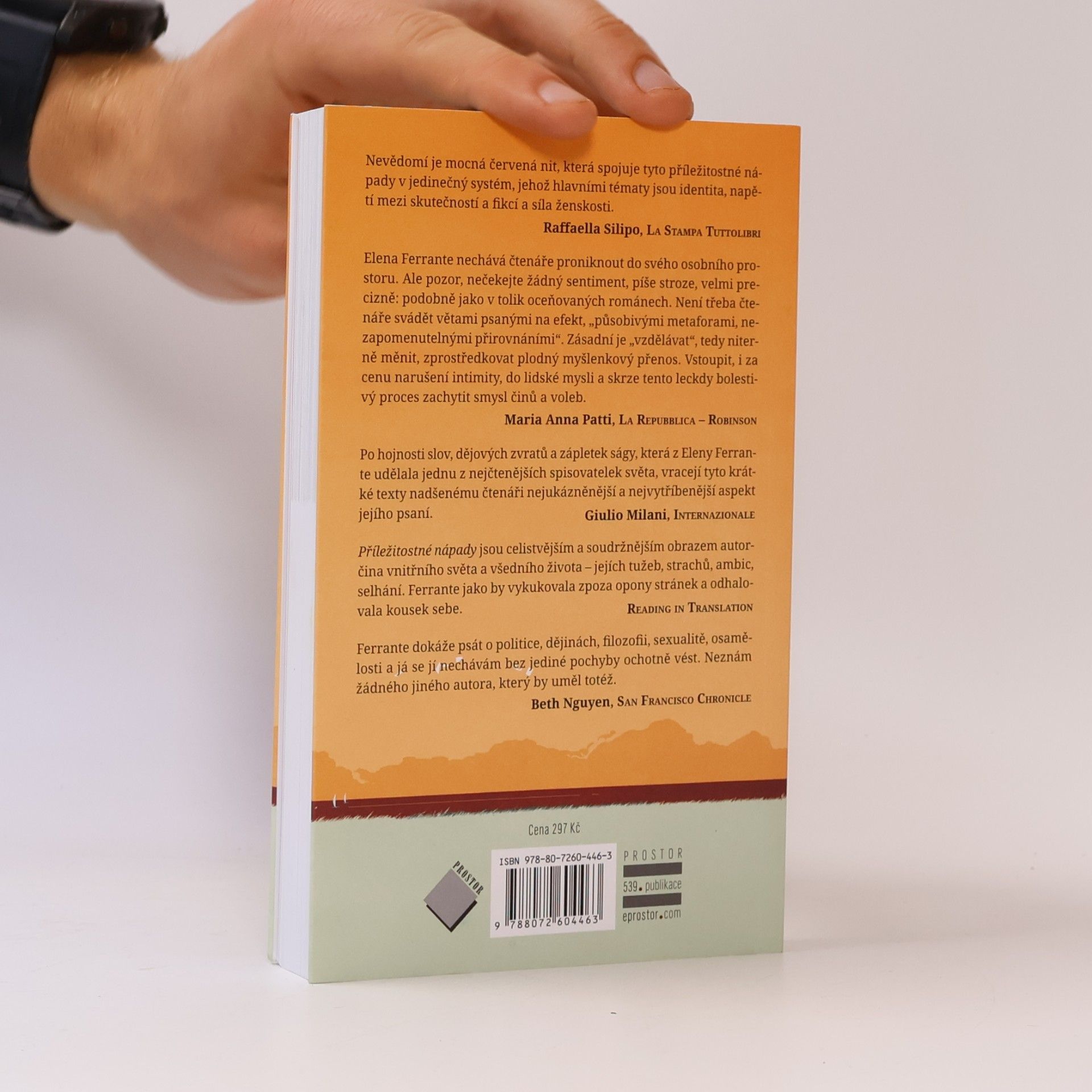 Elena Ferrante Příležitostné nápady