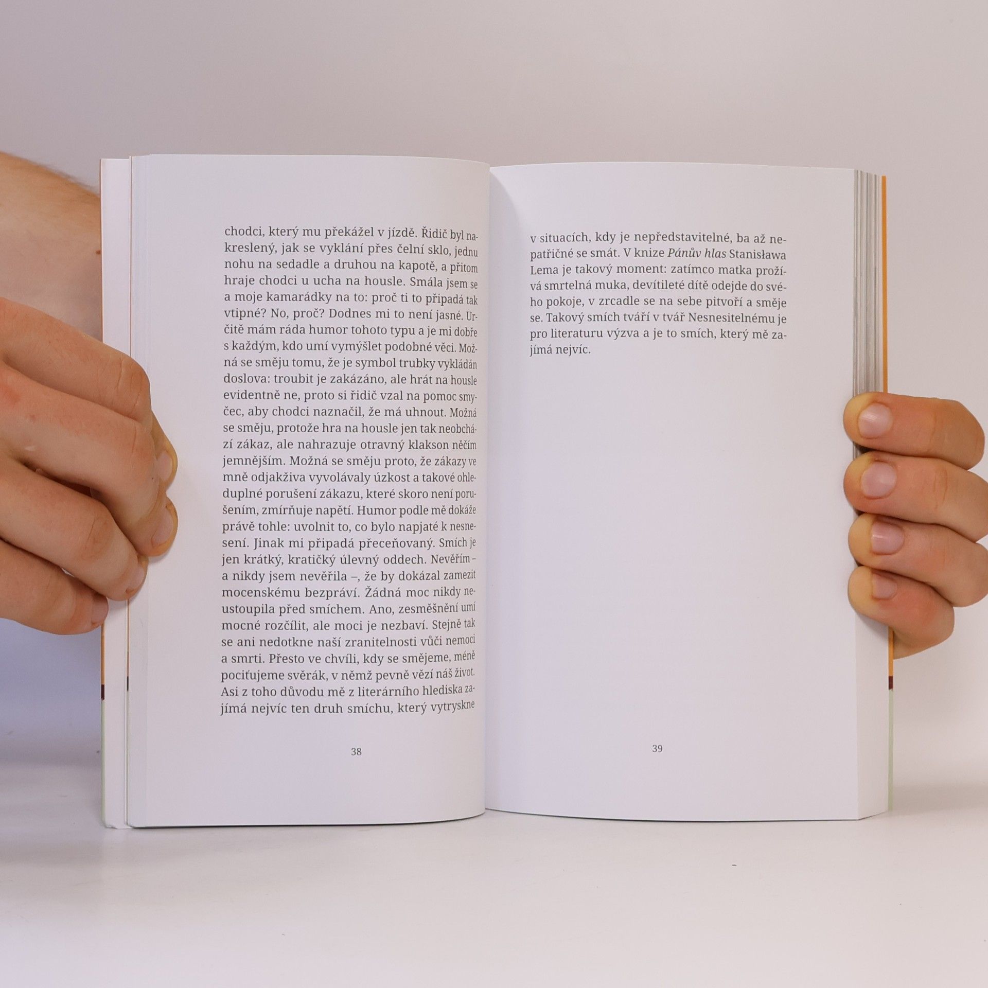 Elena Ferrante Příležitostné nápady