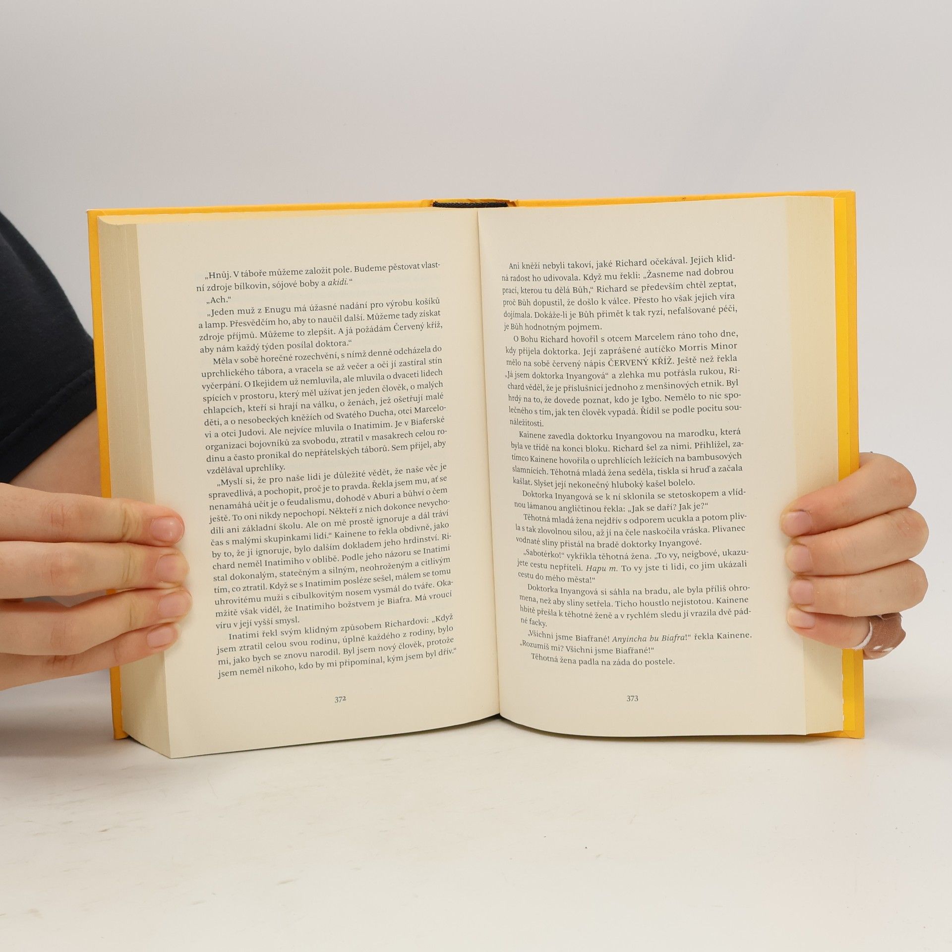Chimamanda Ngozi Adichieová Půl žlutého slunce