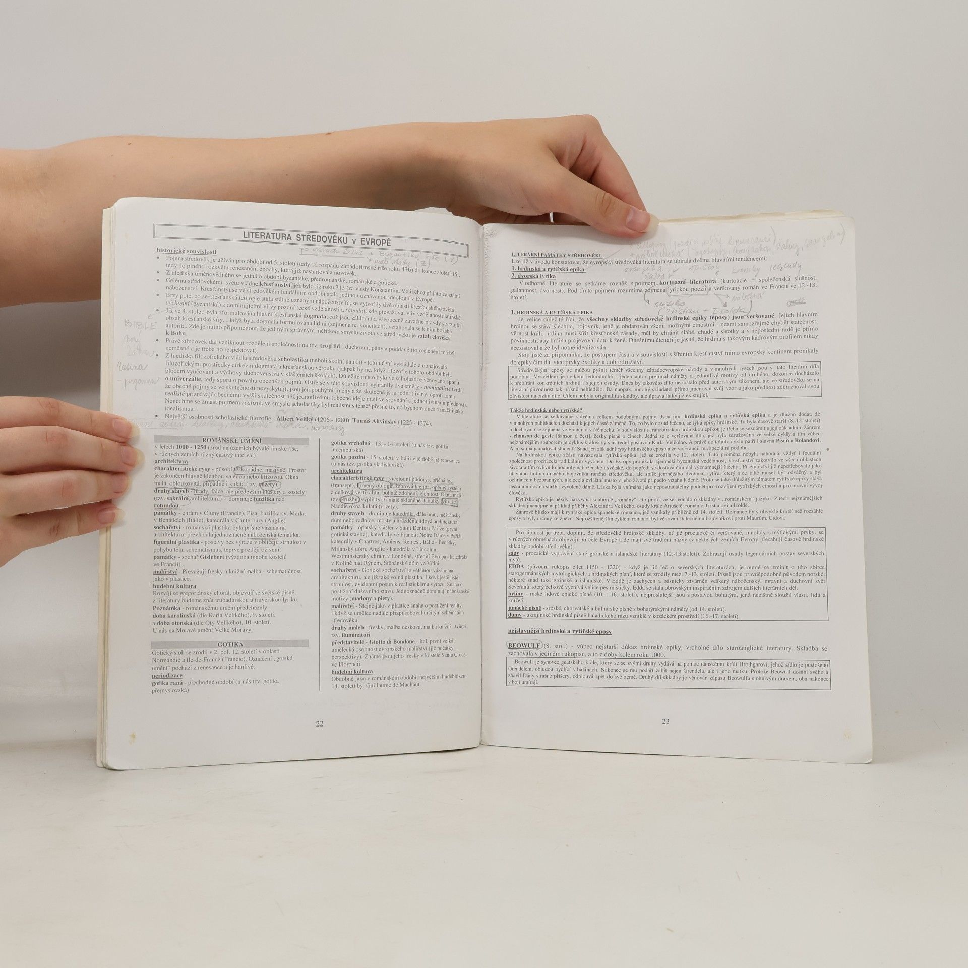 Vladimír Prokop Dějiny literatury od starověku do počátku 19. století