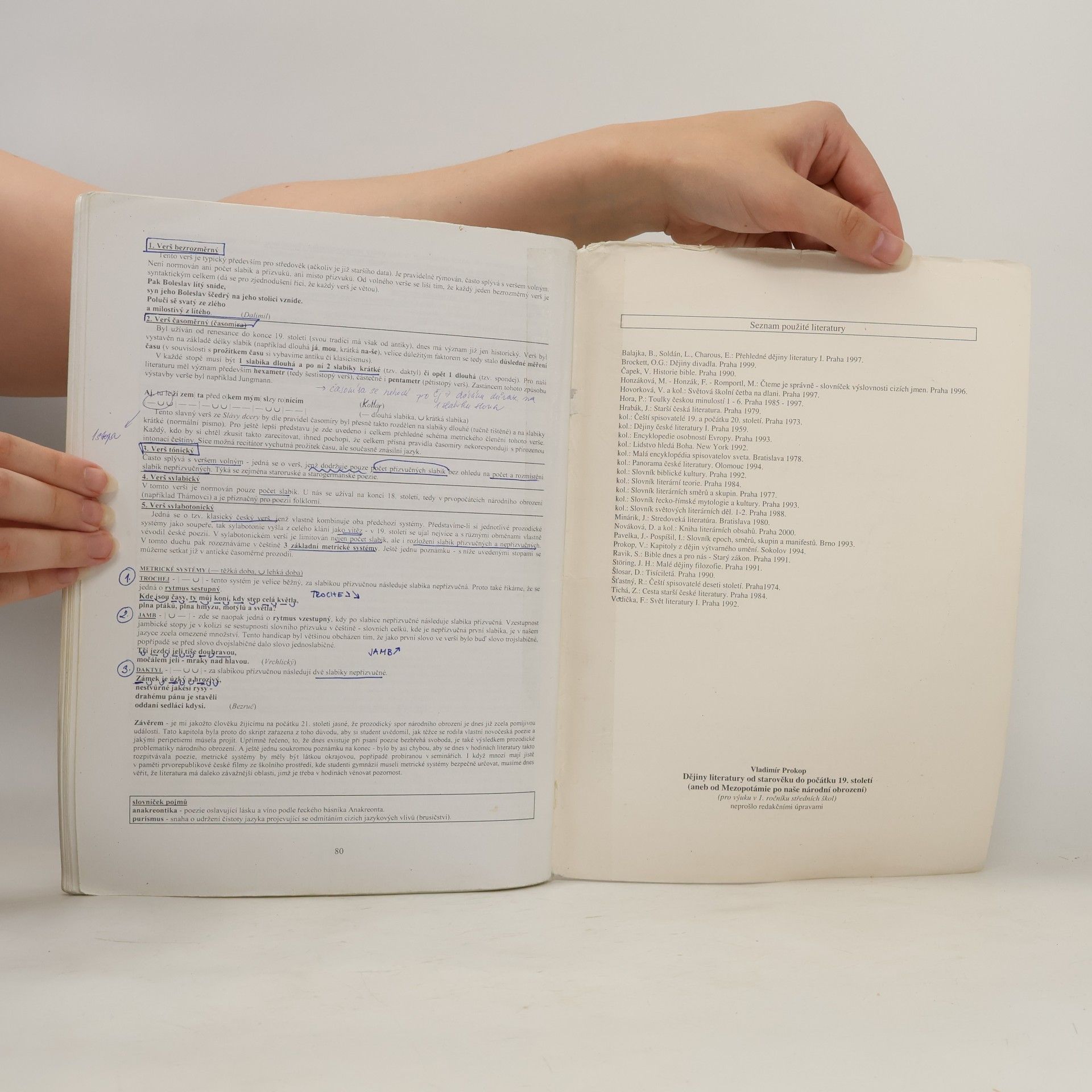 Vladimír Prokop Dějiny literatury od starověku do počátku 19. století