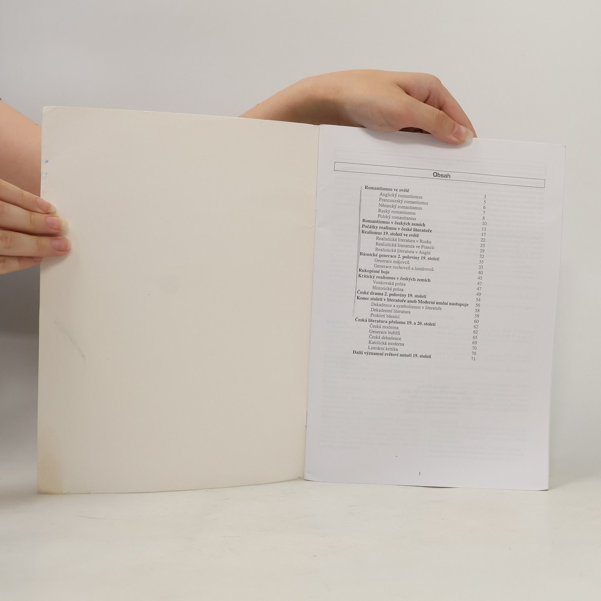 Vladimír Prokop Literatura 19. a počátku 20. století (od romantiků po buřiče)