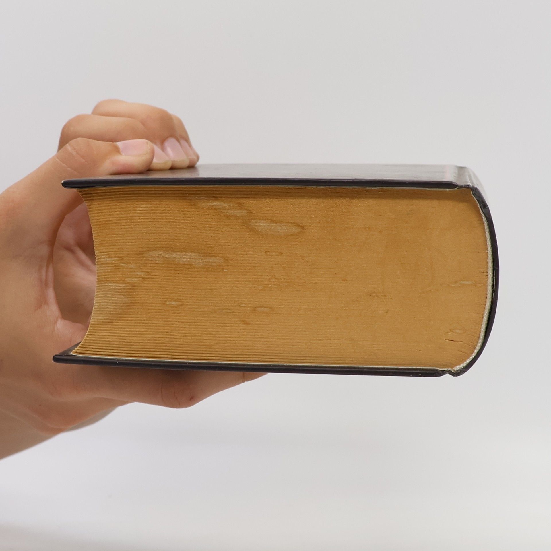 Autorenkollektiv Bible svatá aneb všecka svatá písma Starého i Nového zákona