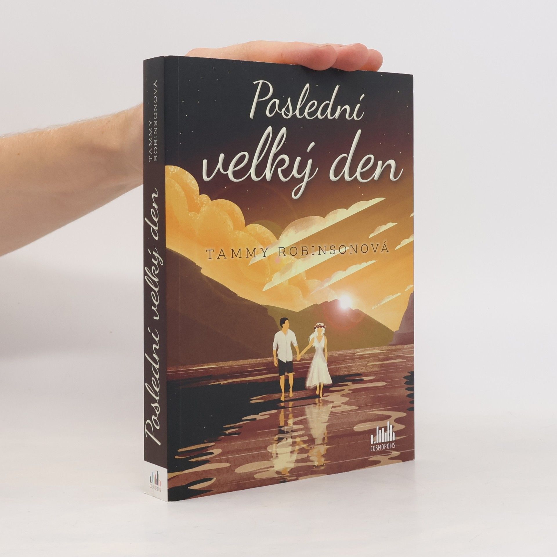 Tammy Robinson Poslední velký den