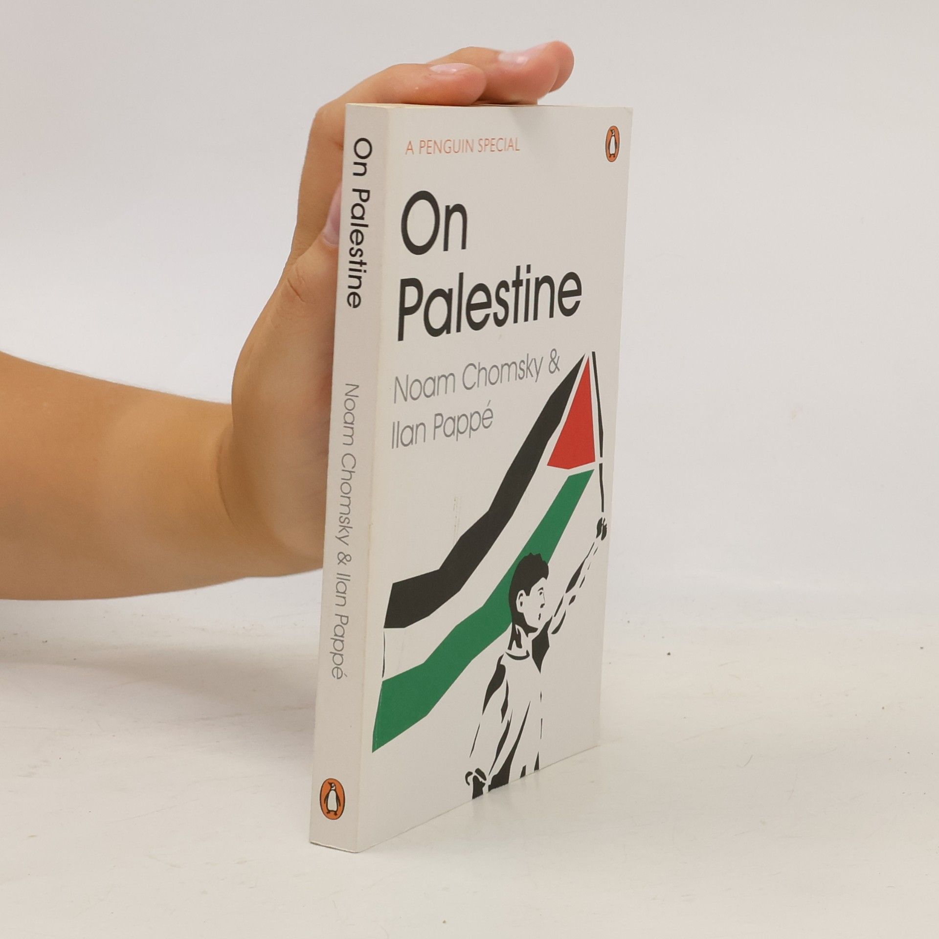Noam Chomsky On Palestine