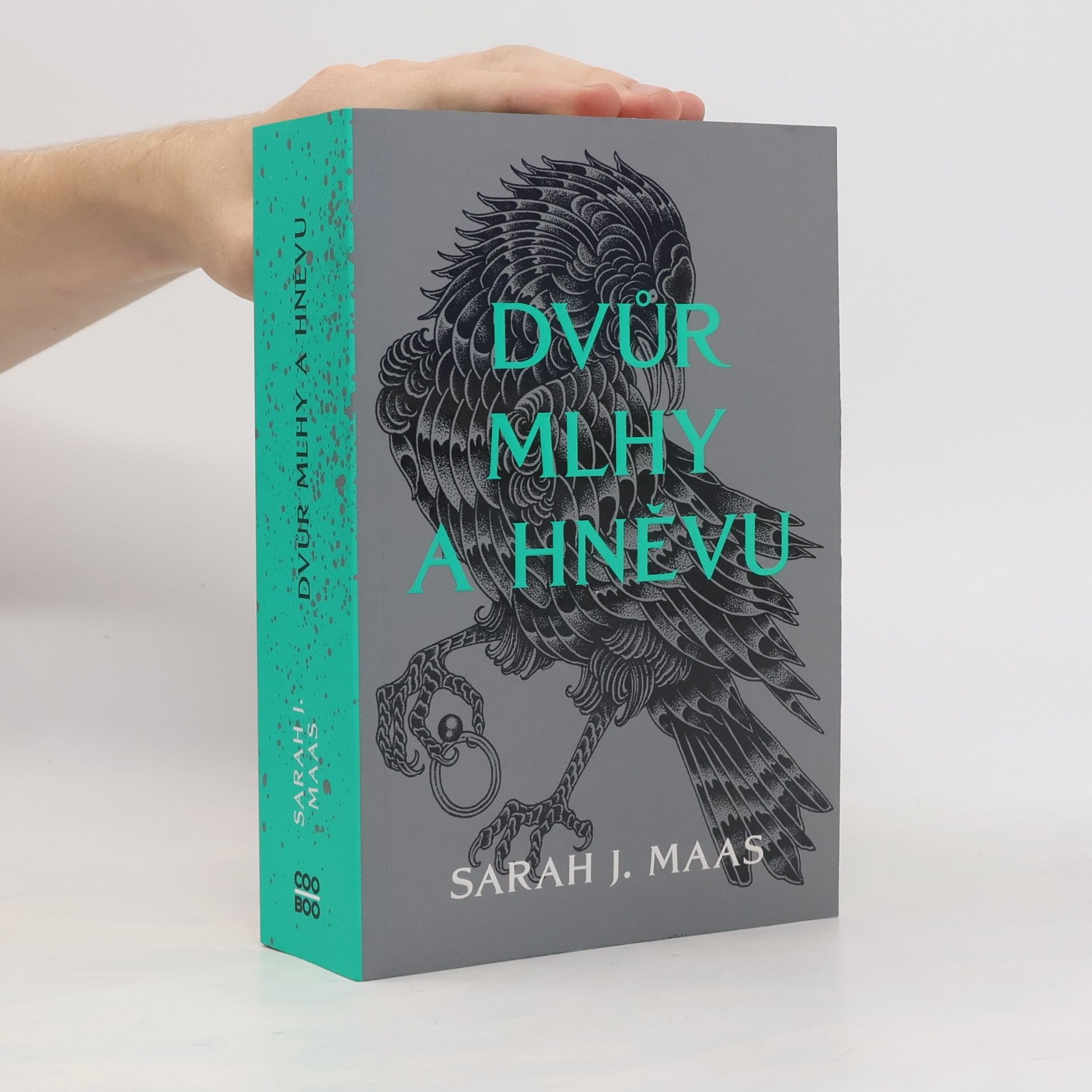 Sarah J. Maas Dvůr mlhy a hněvu