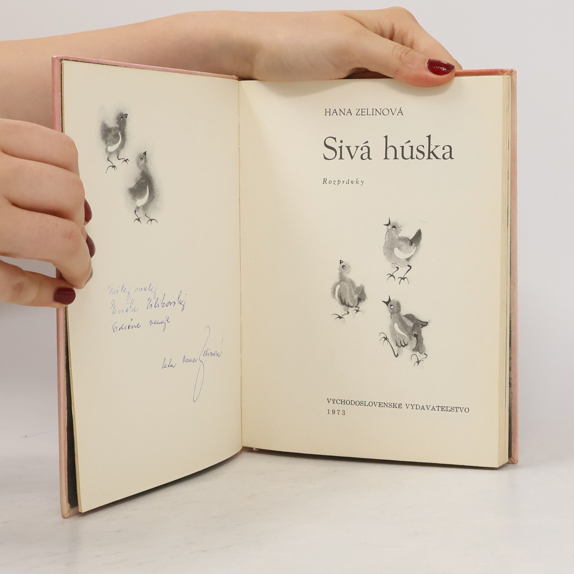 Hana Zelinová Sivá húska