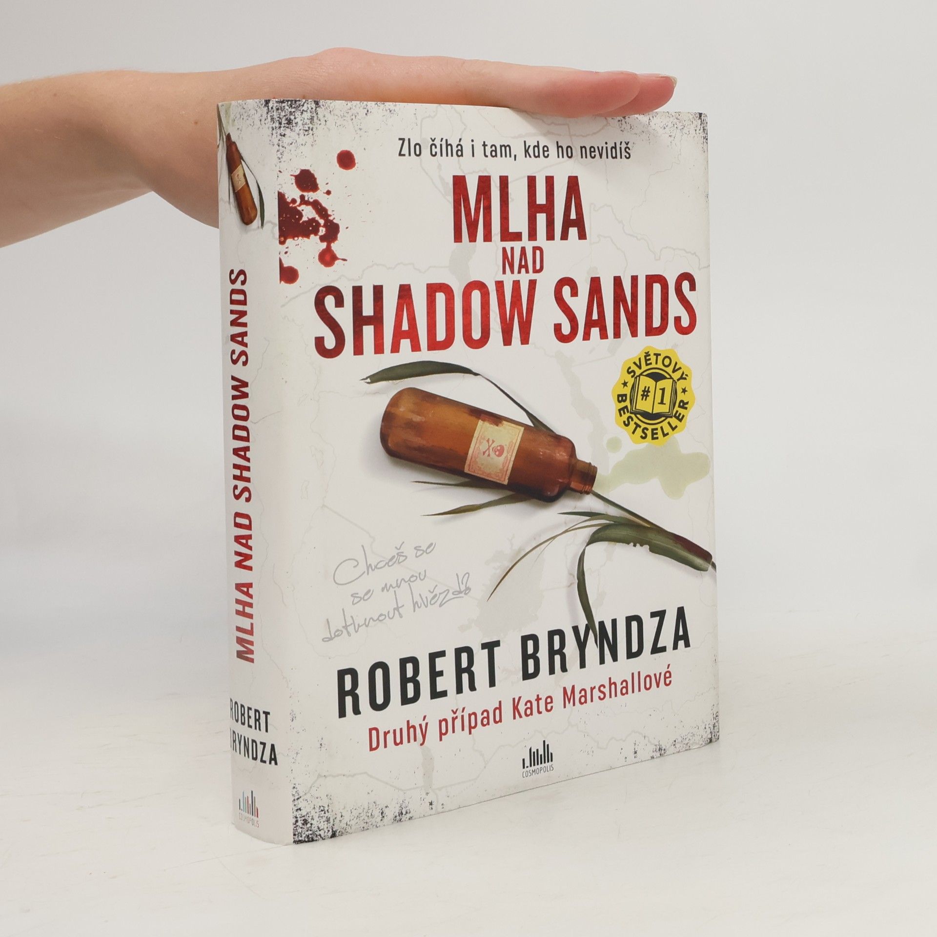 Robert Bryndza Mlha nad Shadow Sands