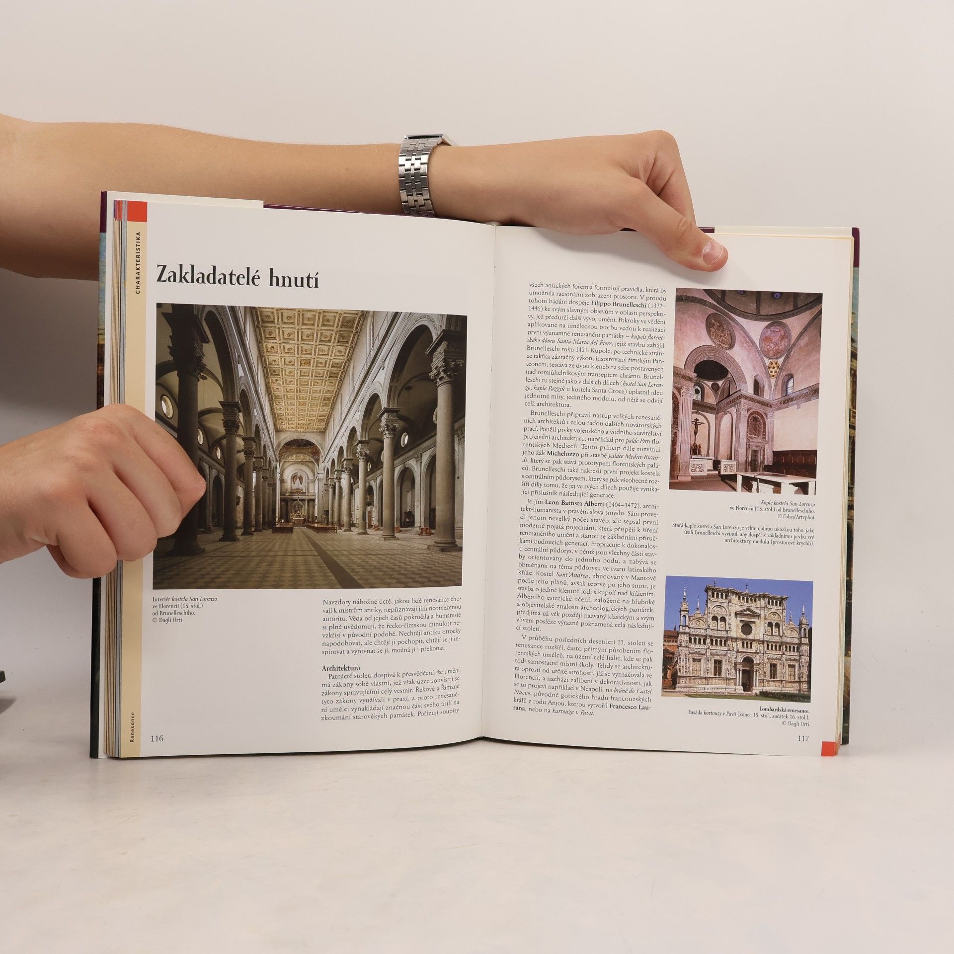 Jiří Špaček Dějiny umění. Malířství, sochařství, architektura