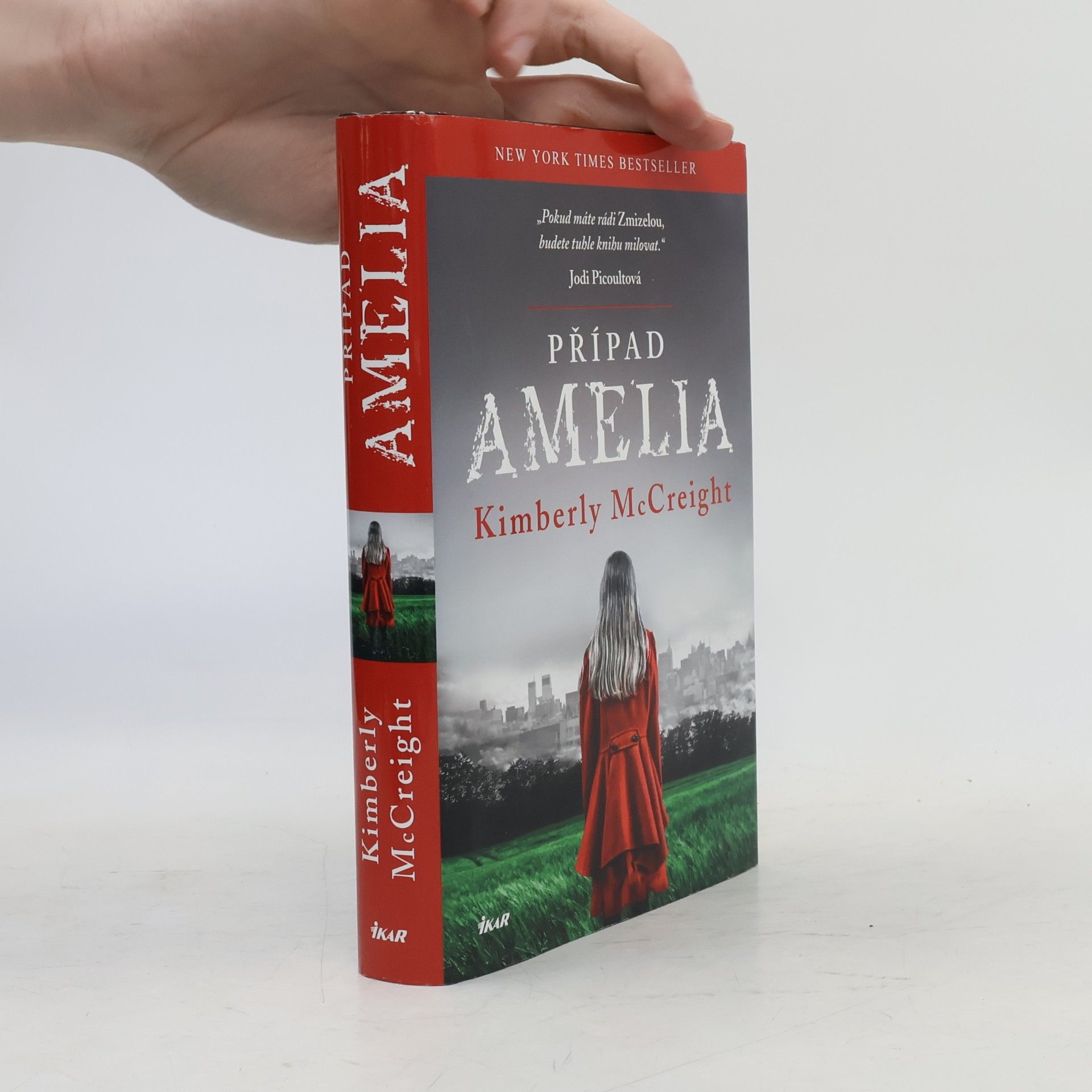 Kimberly McCreight Případ Amelia