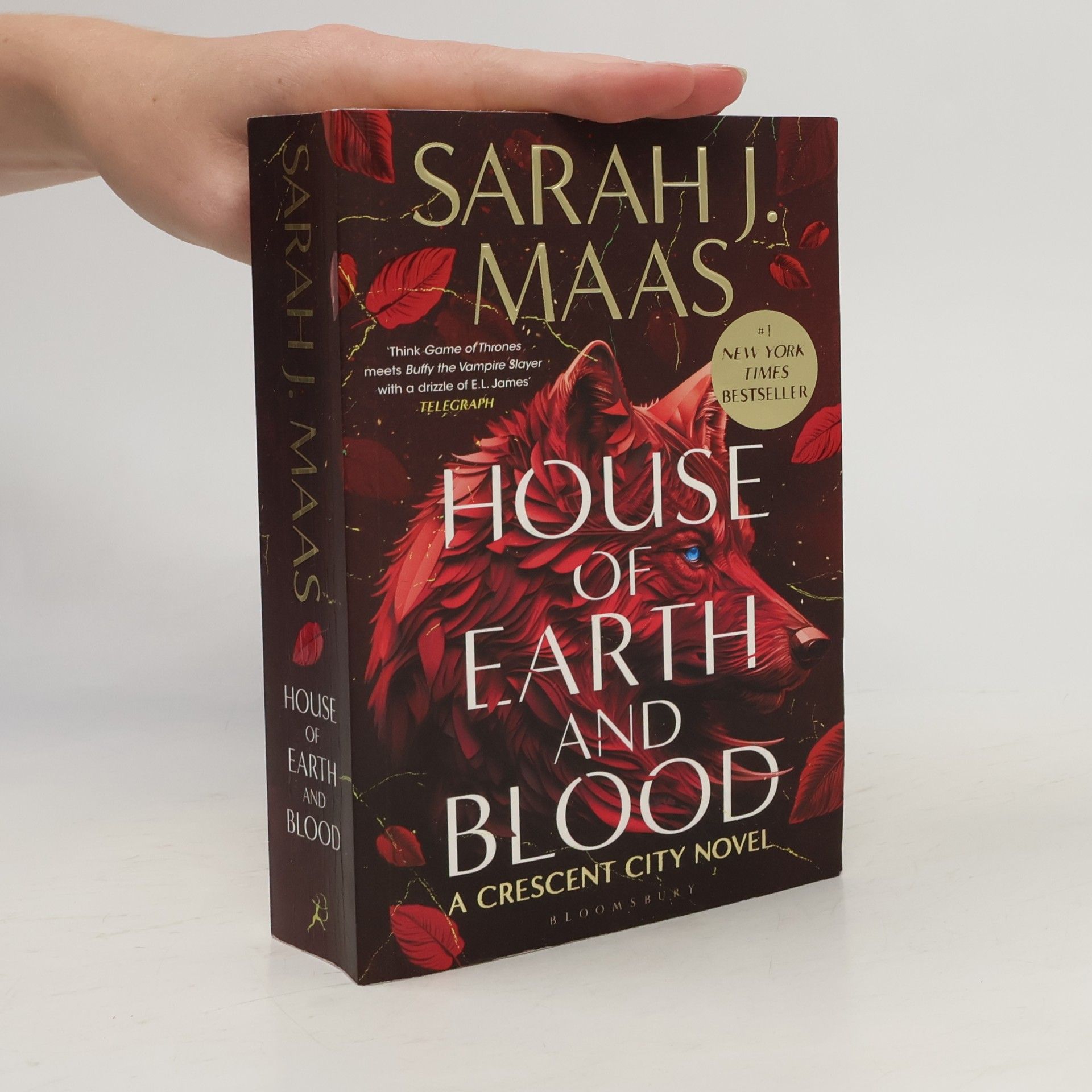 Sarah J. Maas House of Earth and Blood