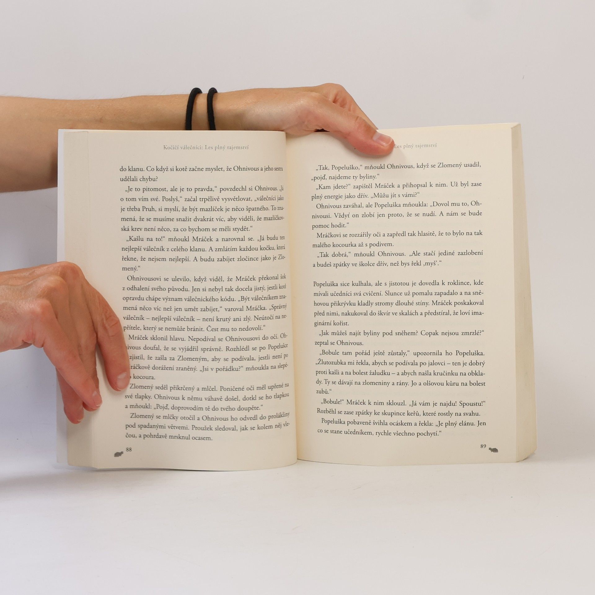 Erin Hunter Les plný tajemství. Kočičí válečníci