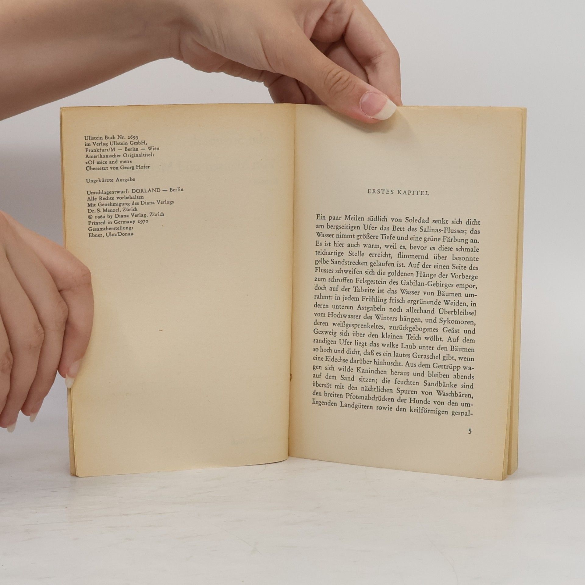 John Steinbeck Von Mäusen und Menschen