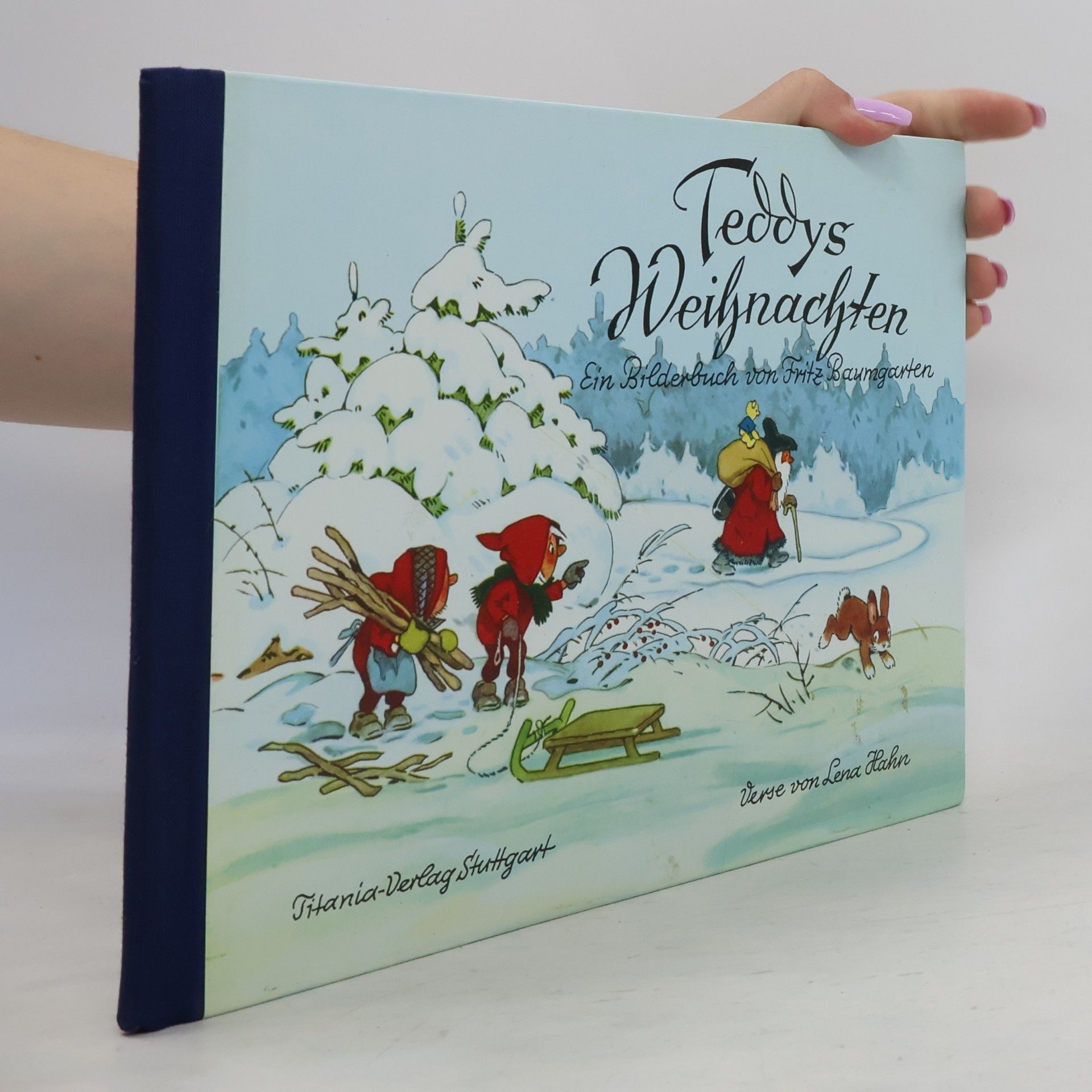 Teddys Weihnachten.