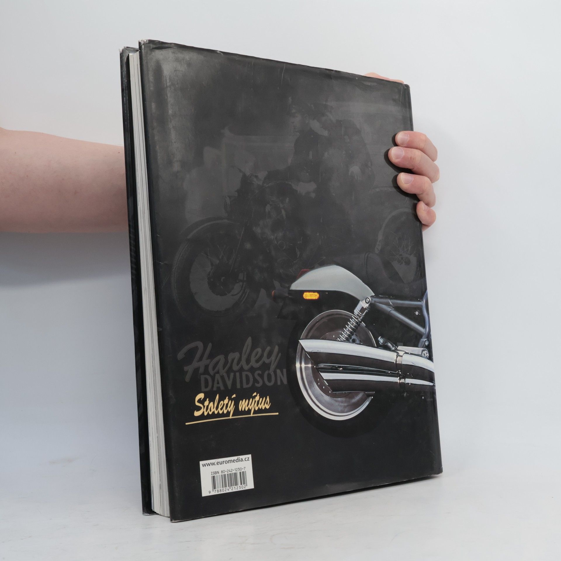 Albert Saladini Harley Davidson. Stoletý mýtus. Životní styl