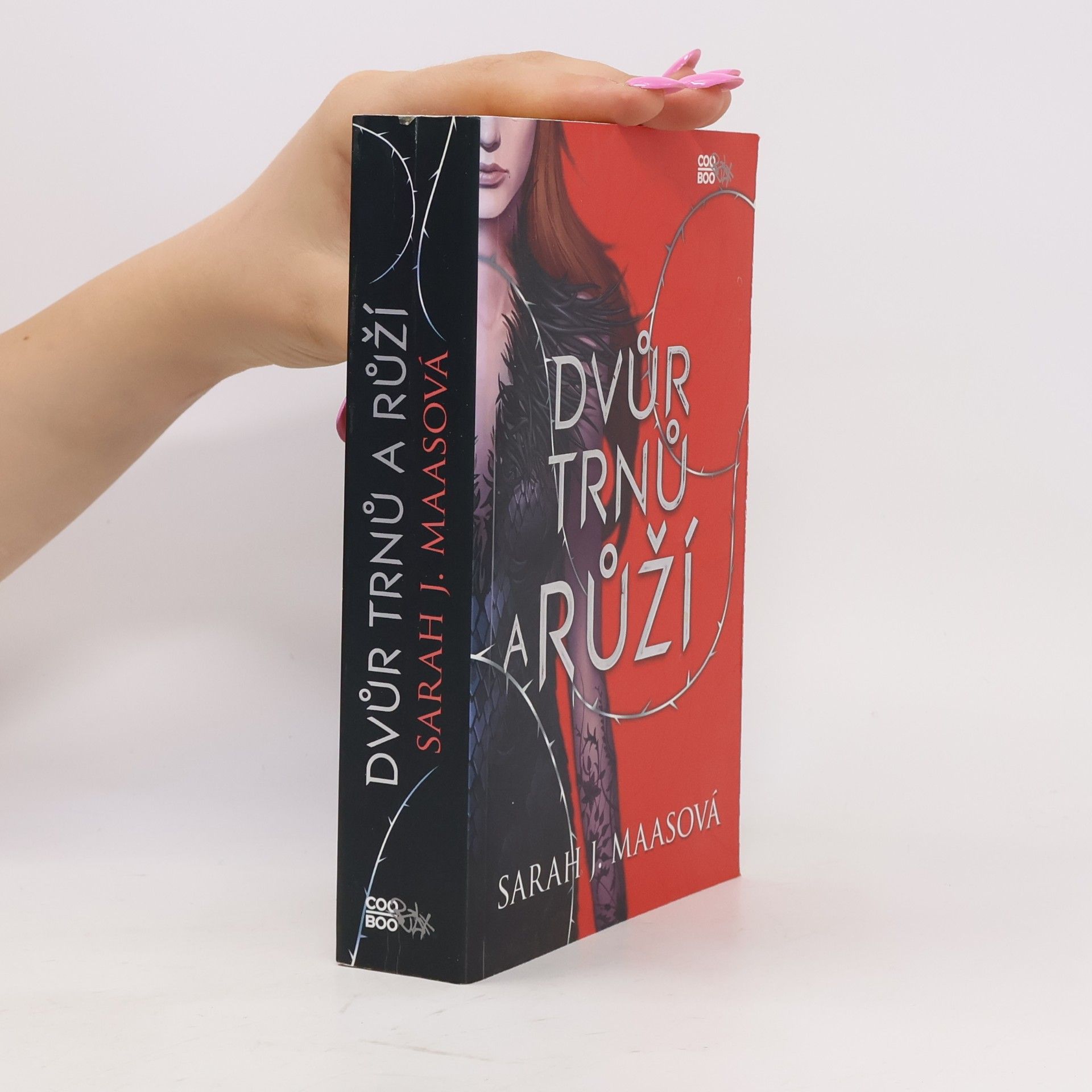 Sarah J. Maas Dvůr trnů a růží