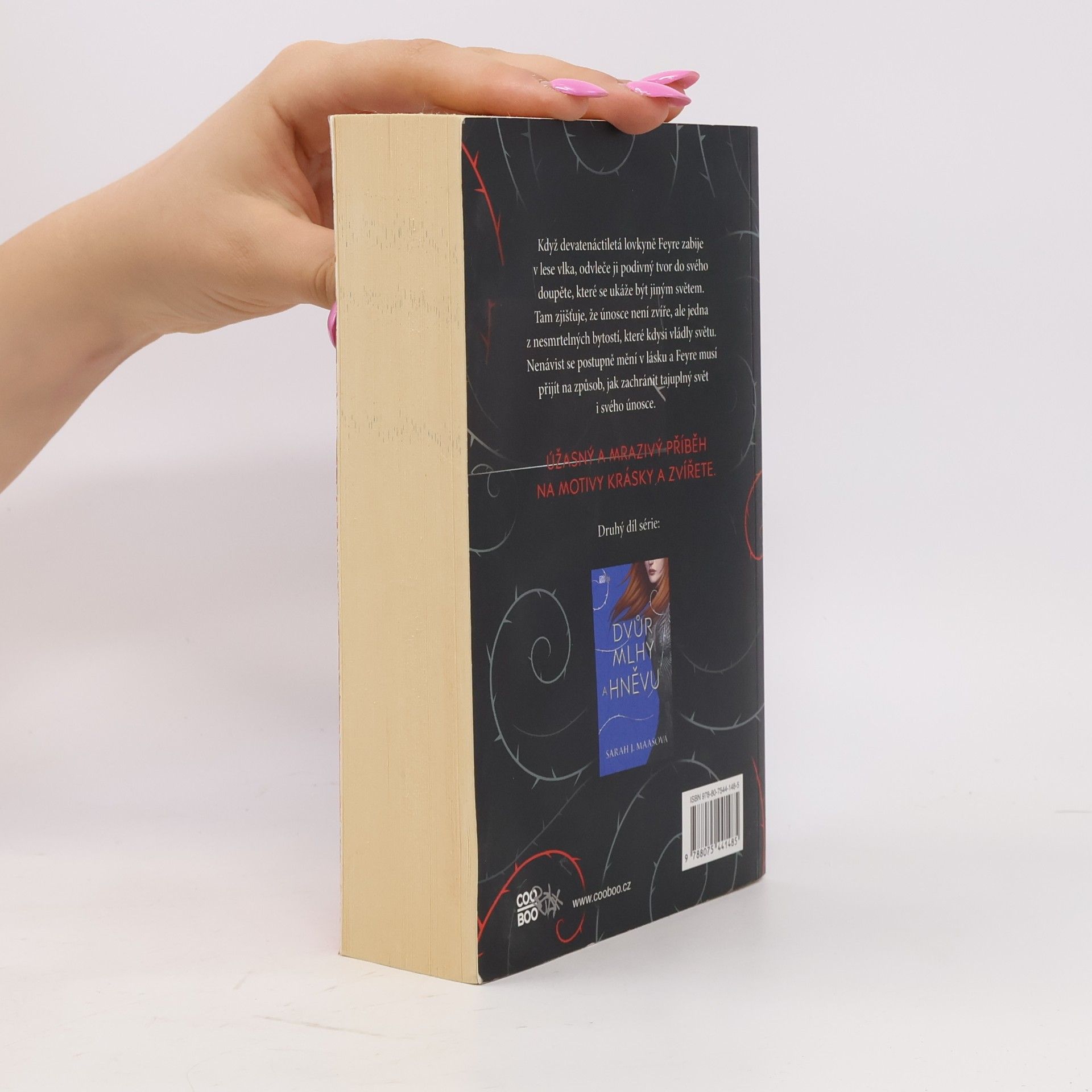 Sarah J. Maas Dvůr trnů a růží