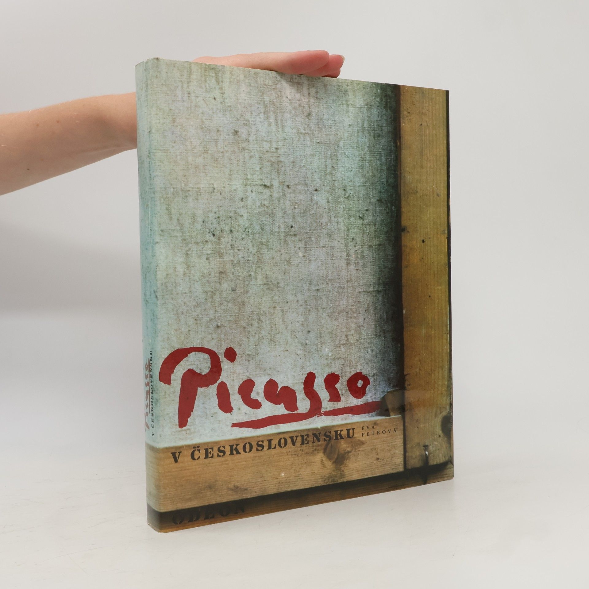 Eva Petrová Picasso v Československu