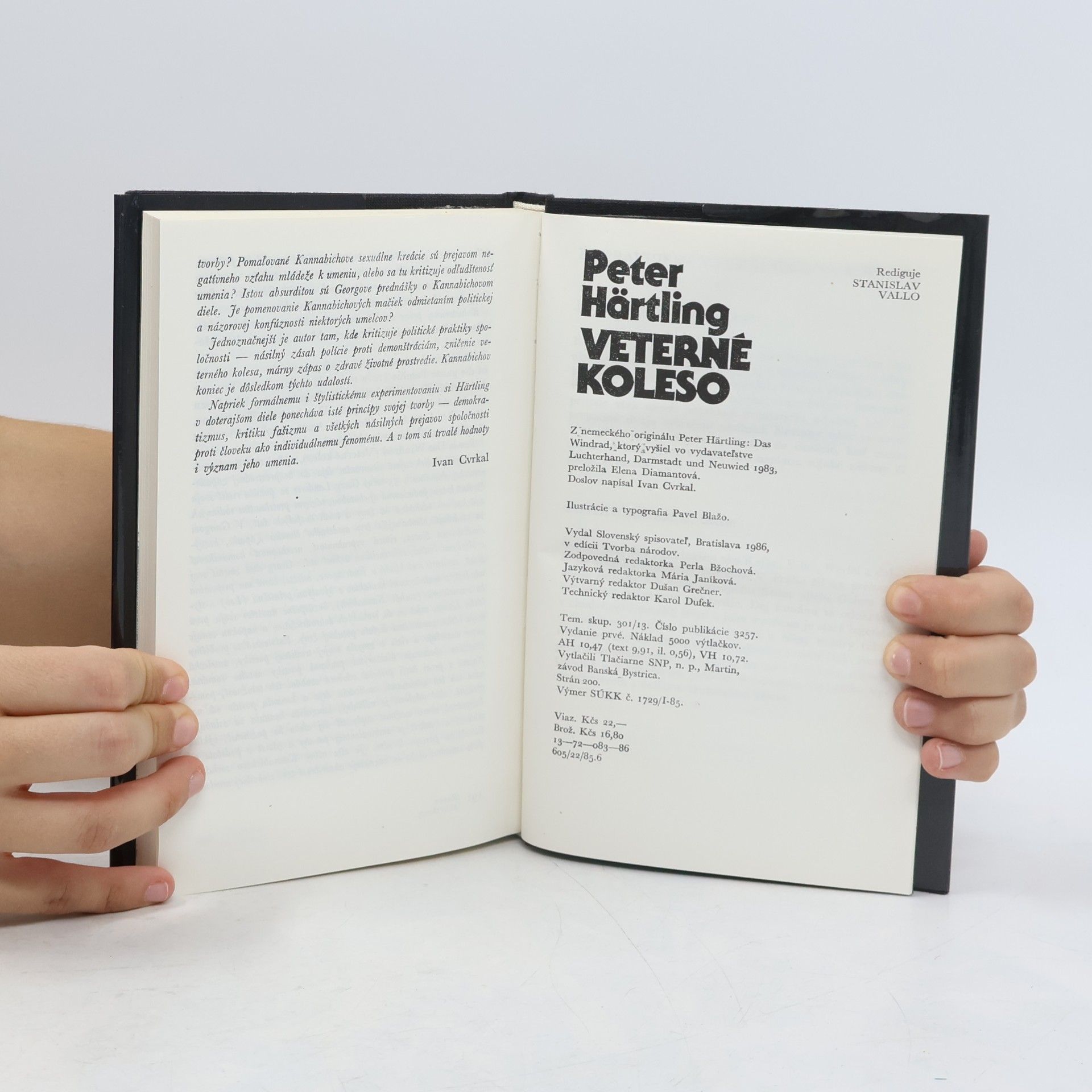 Peter Härtling Veterné koleso