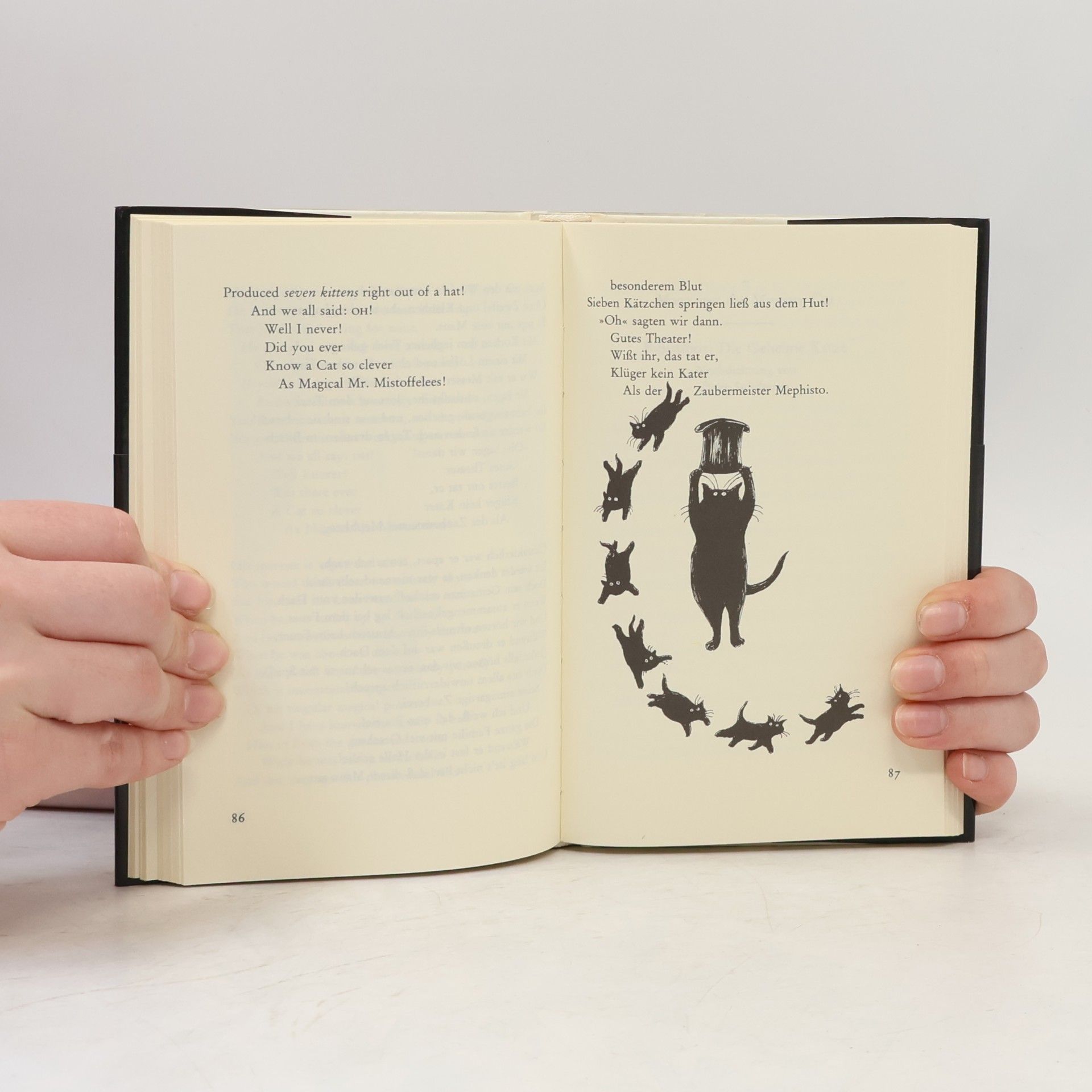 Thomas Stearns Eliot Old Possums Katzenbuch. Cats