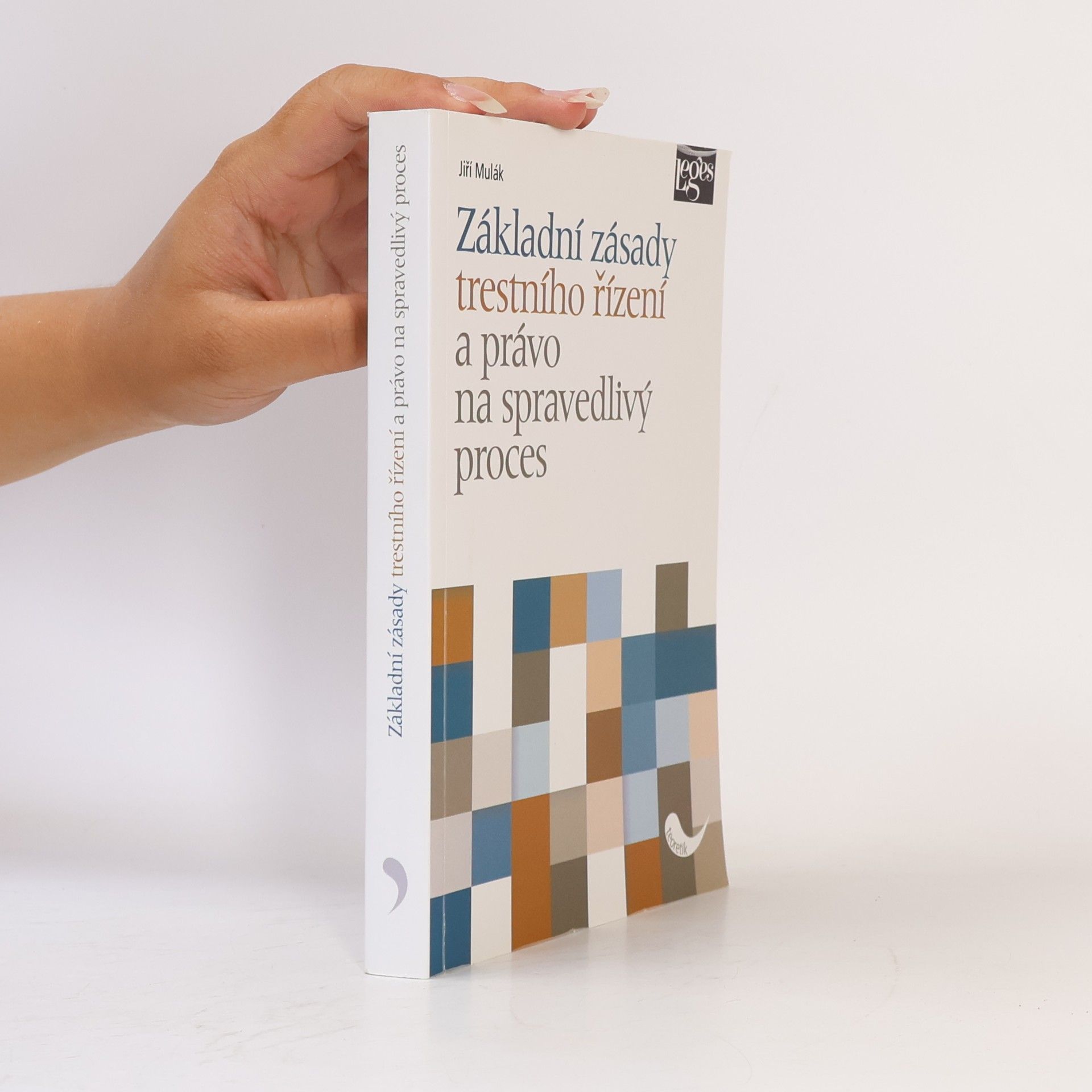Jiří Mulák Základní zásady trestního řízení a právo na spravedlivý proces