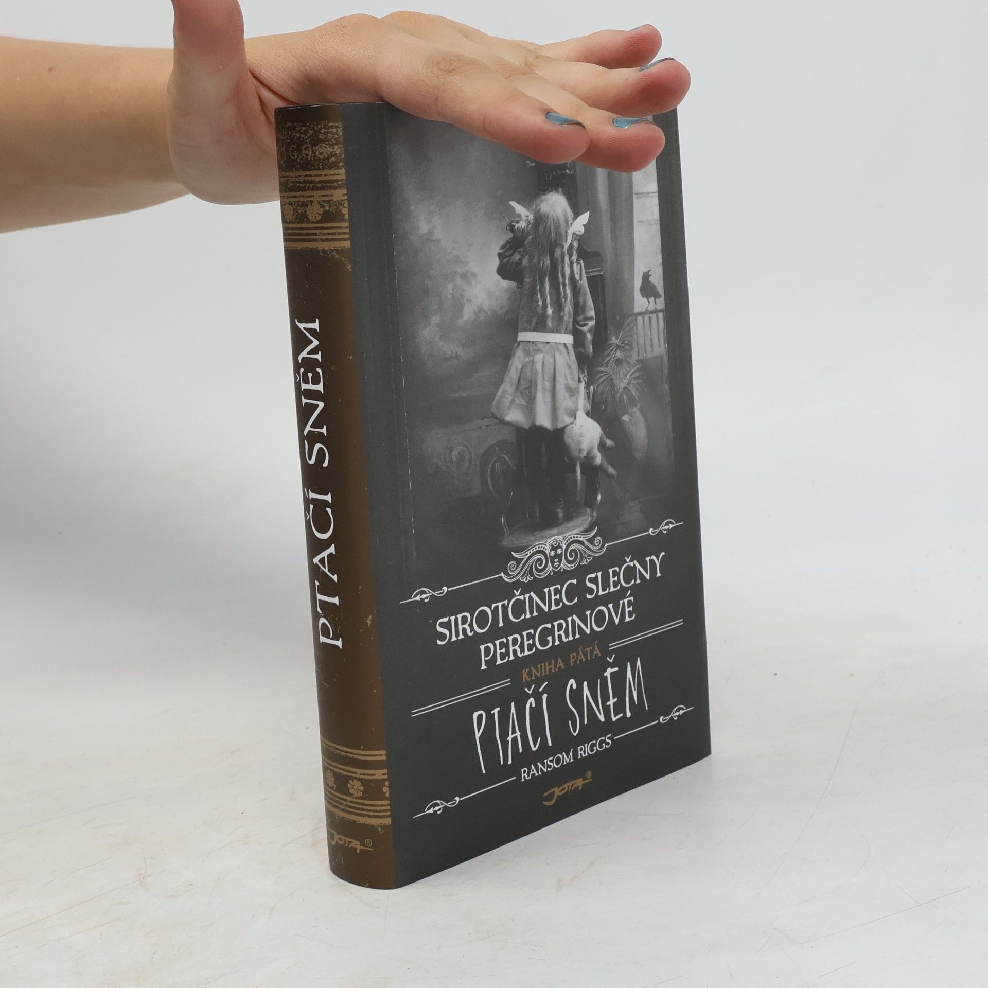 Ransom Riggs Ptačí sněm