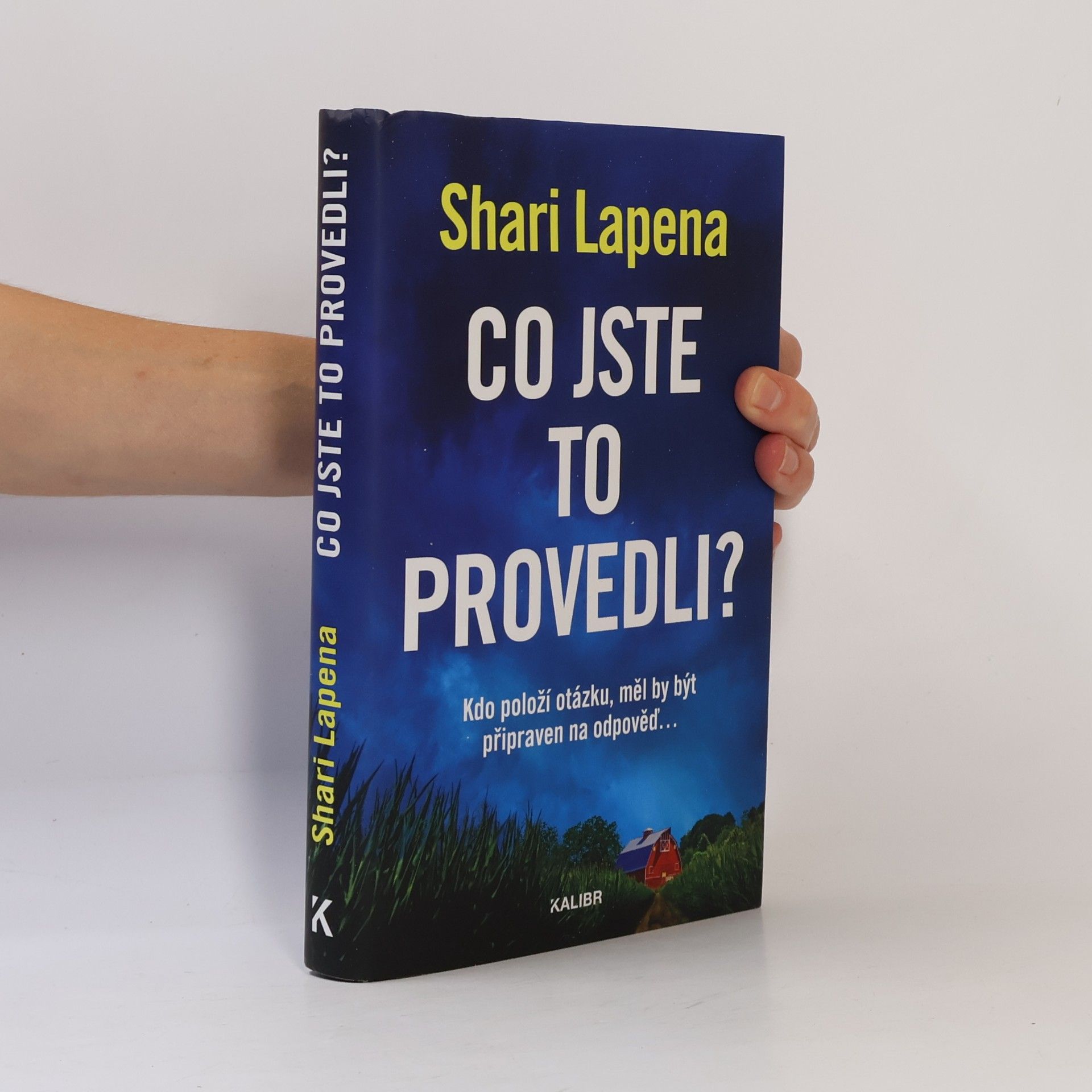 Shari Lapena Co jste to provedli?