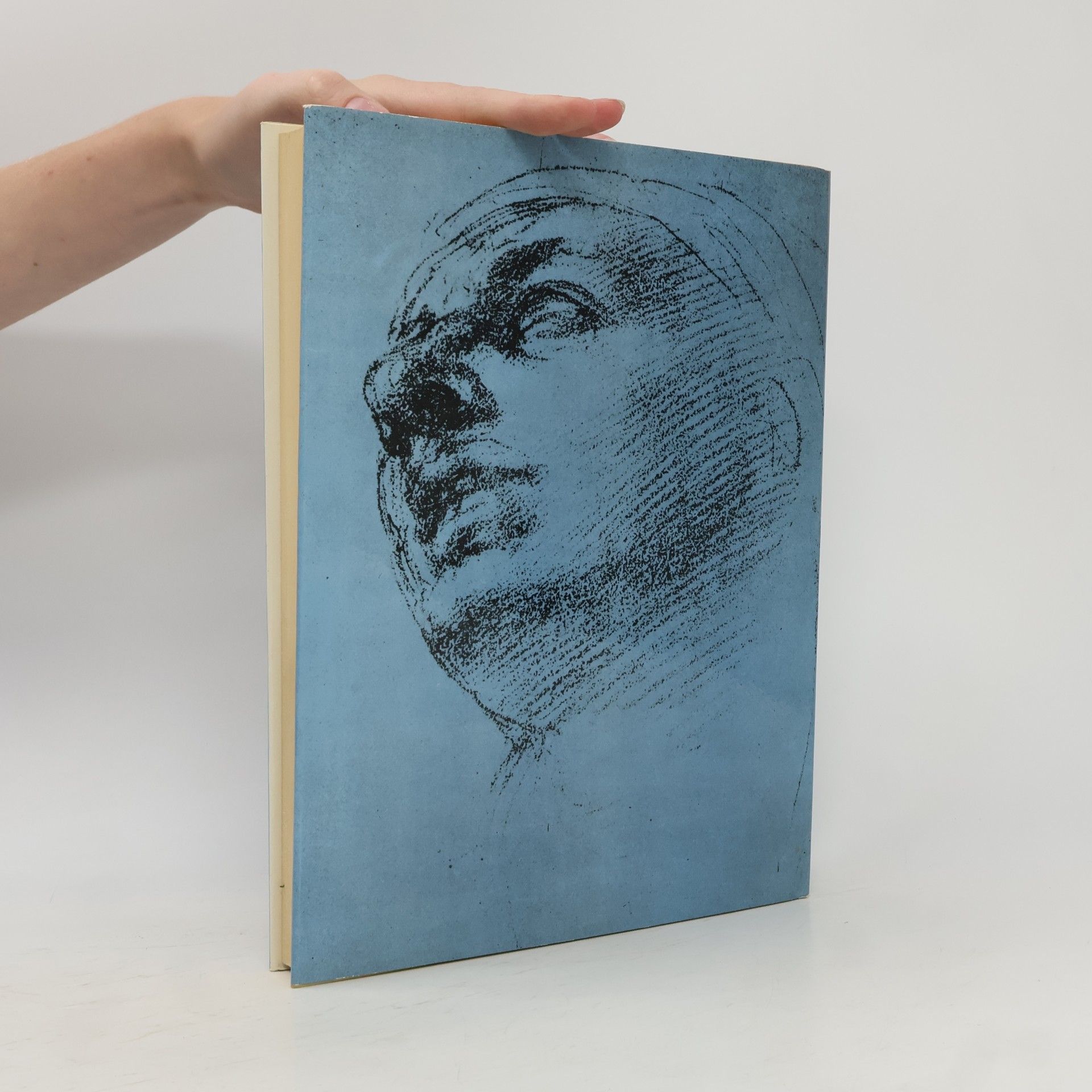 Autorenkollektiv The drawings of Leonardo & Michelangelo