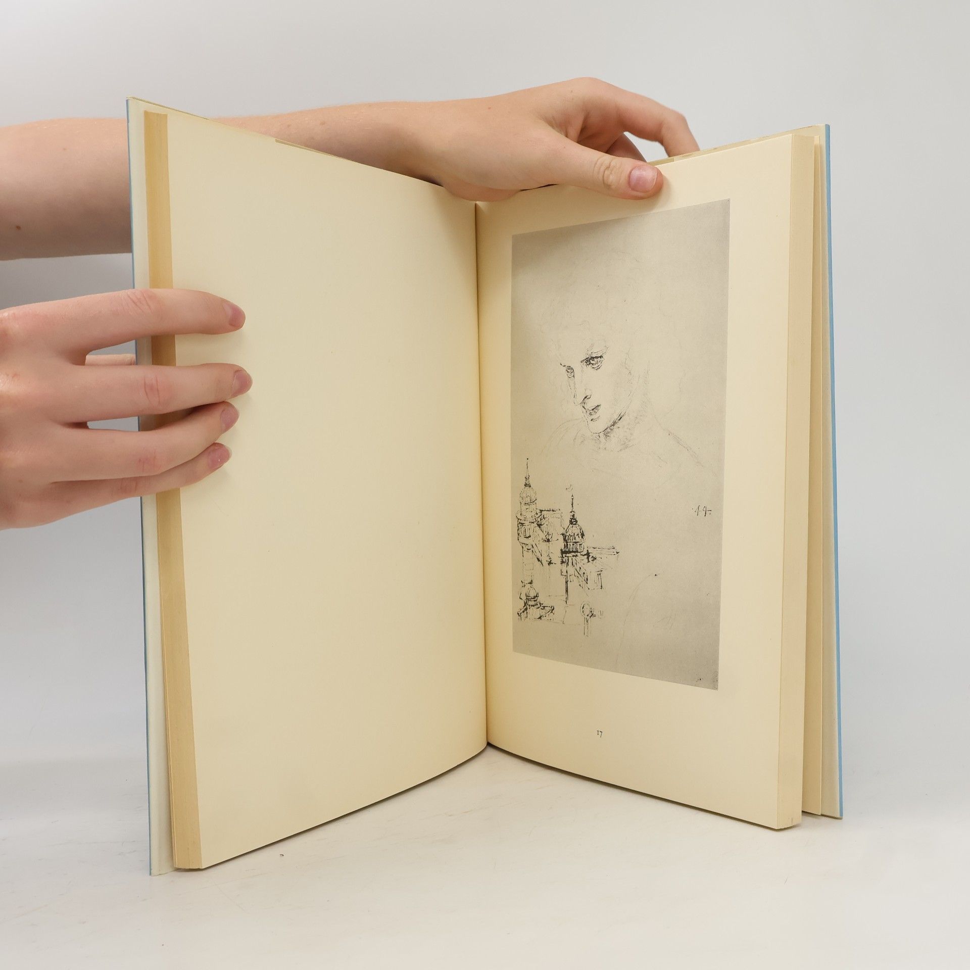 Autorenkollektiv The drawings of Leonardo & Michelangelo