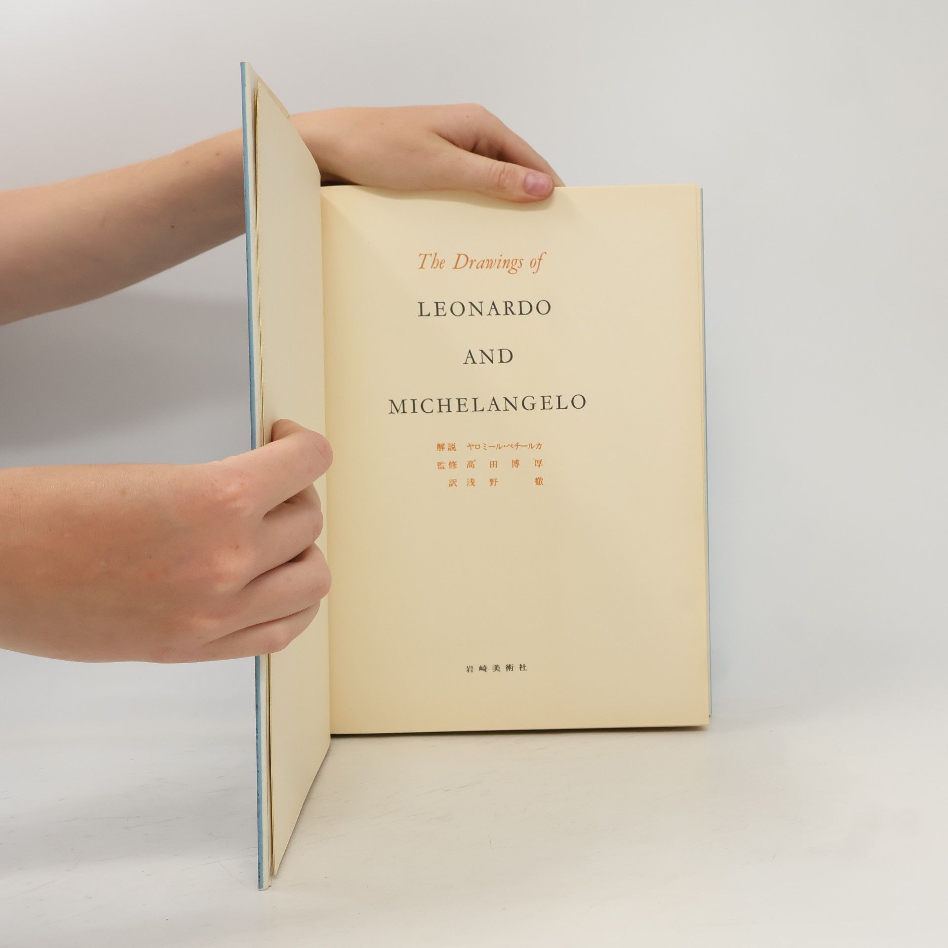 Autorenkollektiv The drawings of Leonardo & Michelangelo