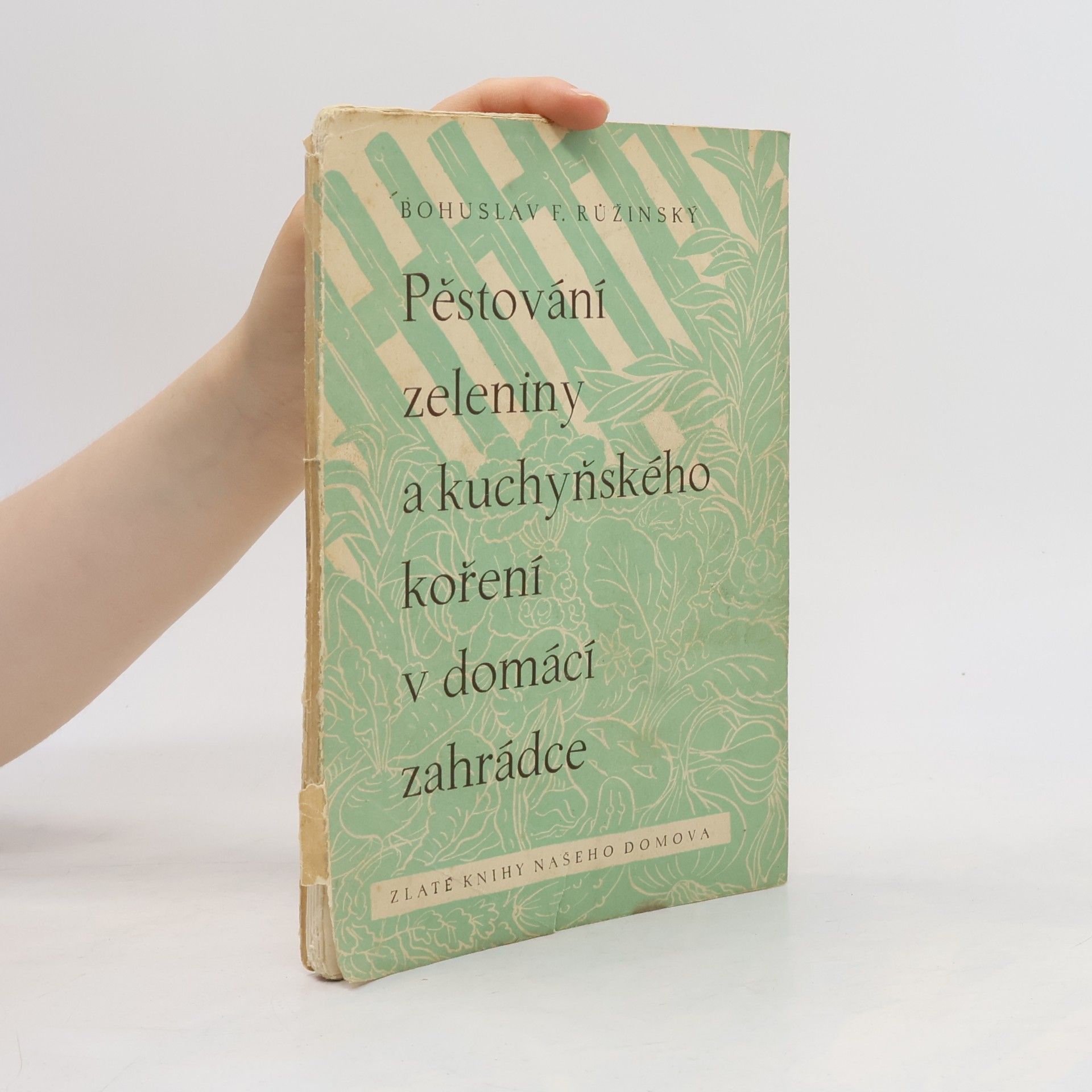 Bohuslav E. Růzinsky Pěstování zeleniny a kuchyňského koření v domácí zahrádce