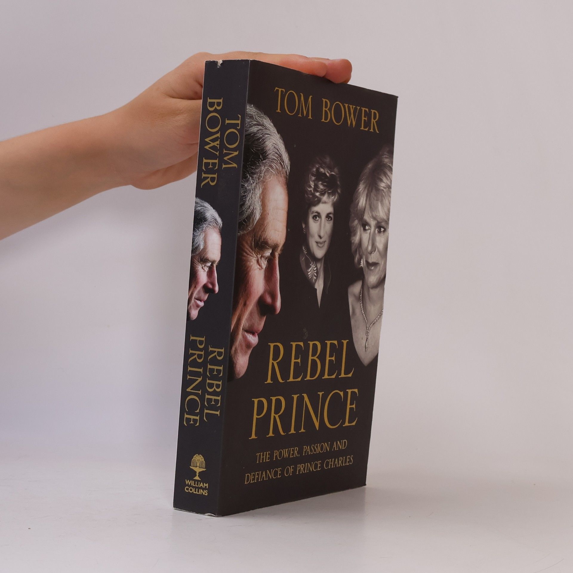 Rebel Prince